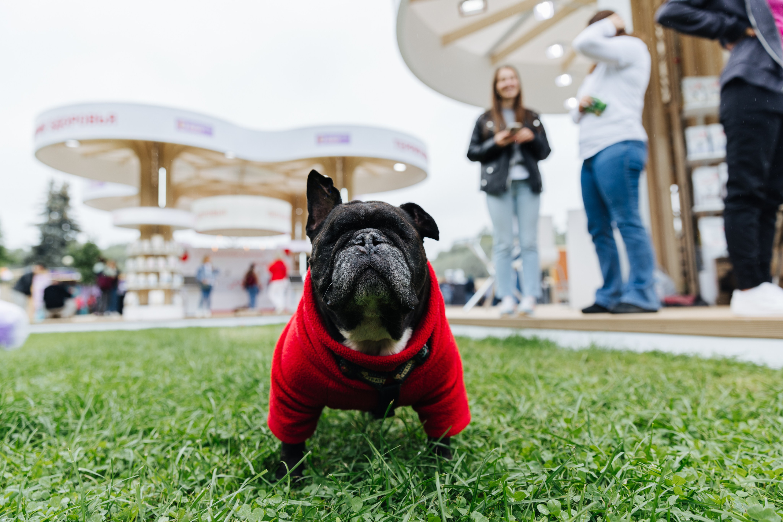 Хвостатый репортаж. Аксана Лисовская фотограф в Москве. Фотографии с характером