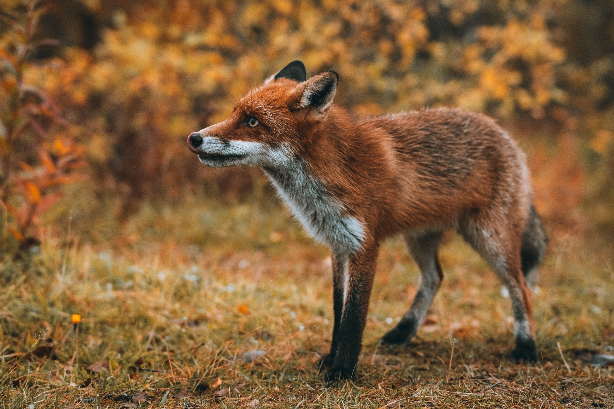 СЕВЕР. Event фотограф Степанова Александра
