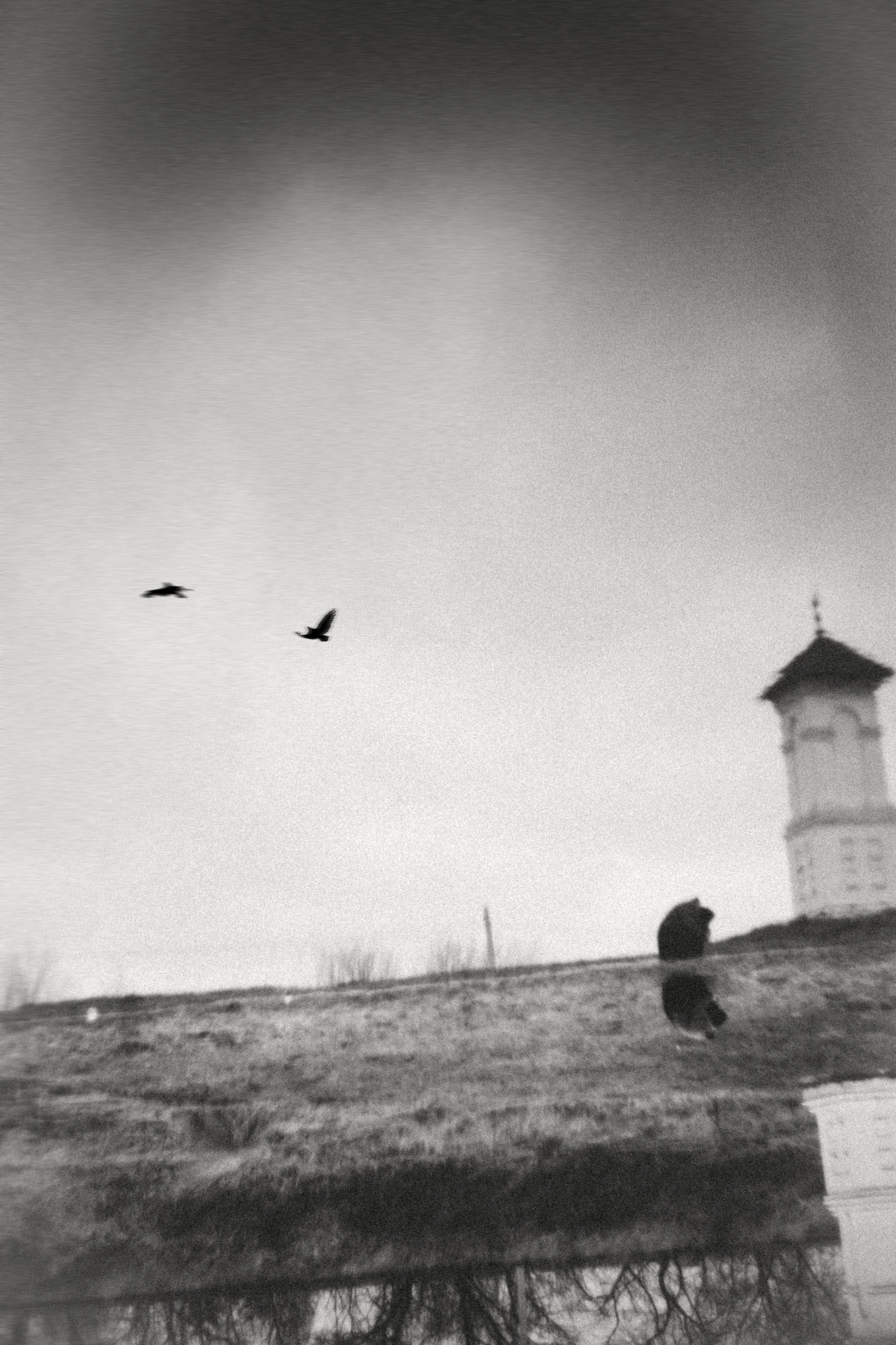 Хтонь. Весенняя Саша. Фотограф в Нижнем Новгороде