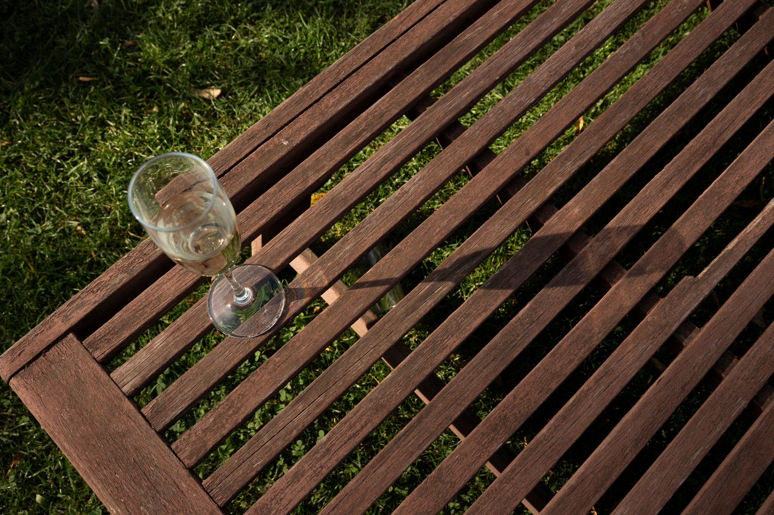 Мы одна большая семья. Фотограф Евгения Мирошниченко