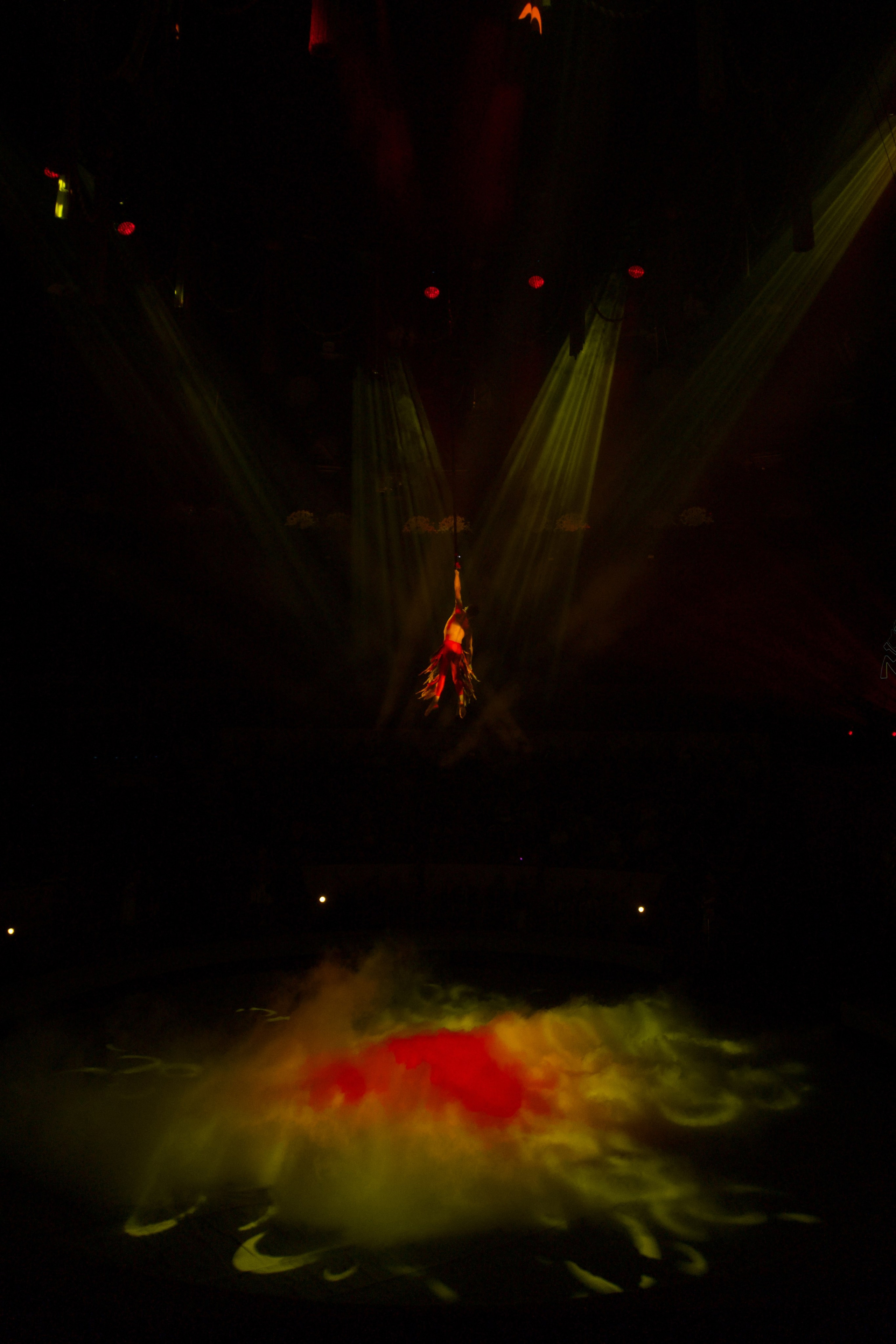 Цирк. Анна Жукова — Режиссёр кино и цирка, сценарист, фотограф