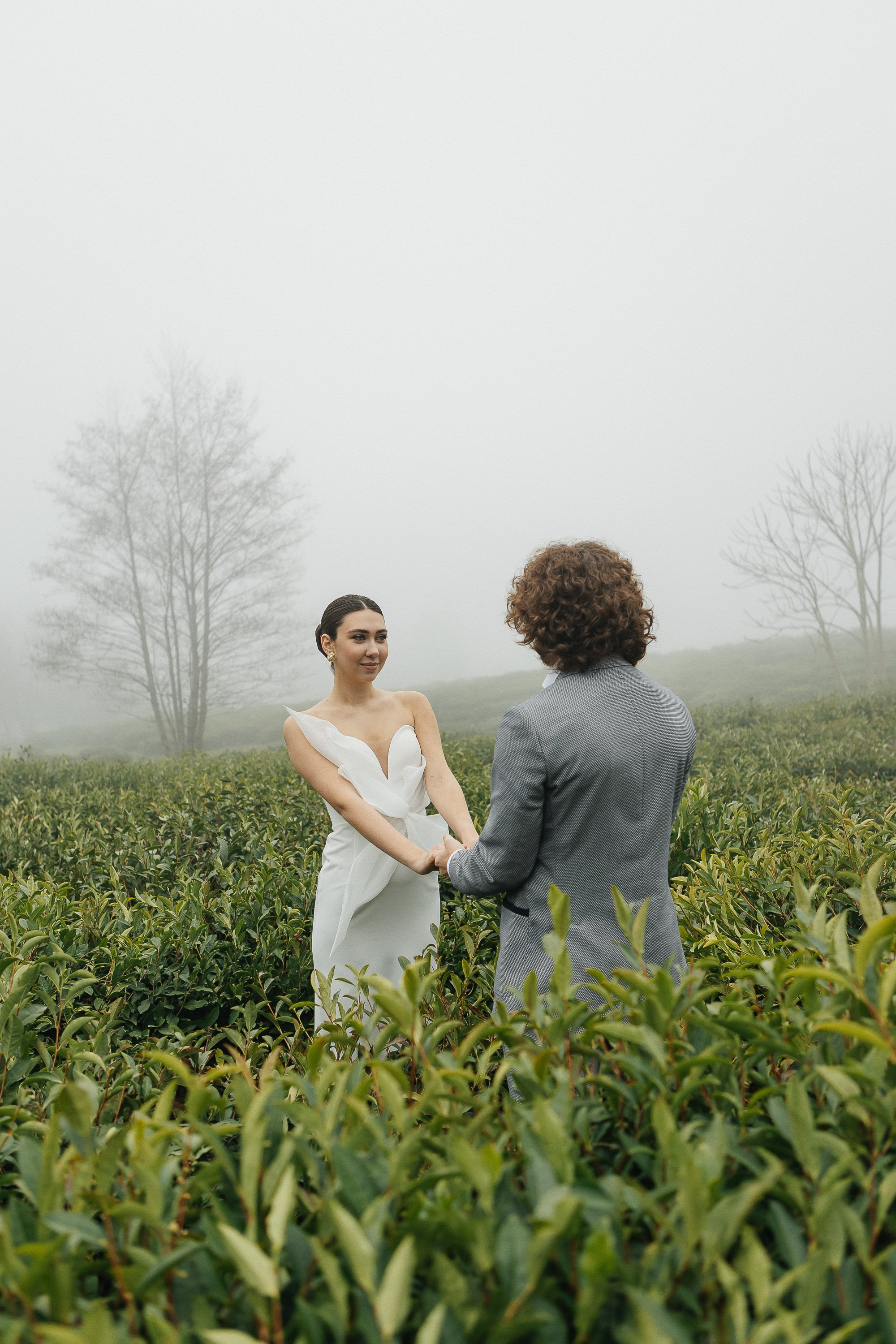Сочи. Чайная плантация. Фотограф Москва, Балашиха, МО. Свадьбы, репортажи, контент, портреты