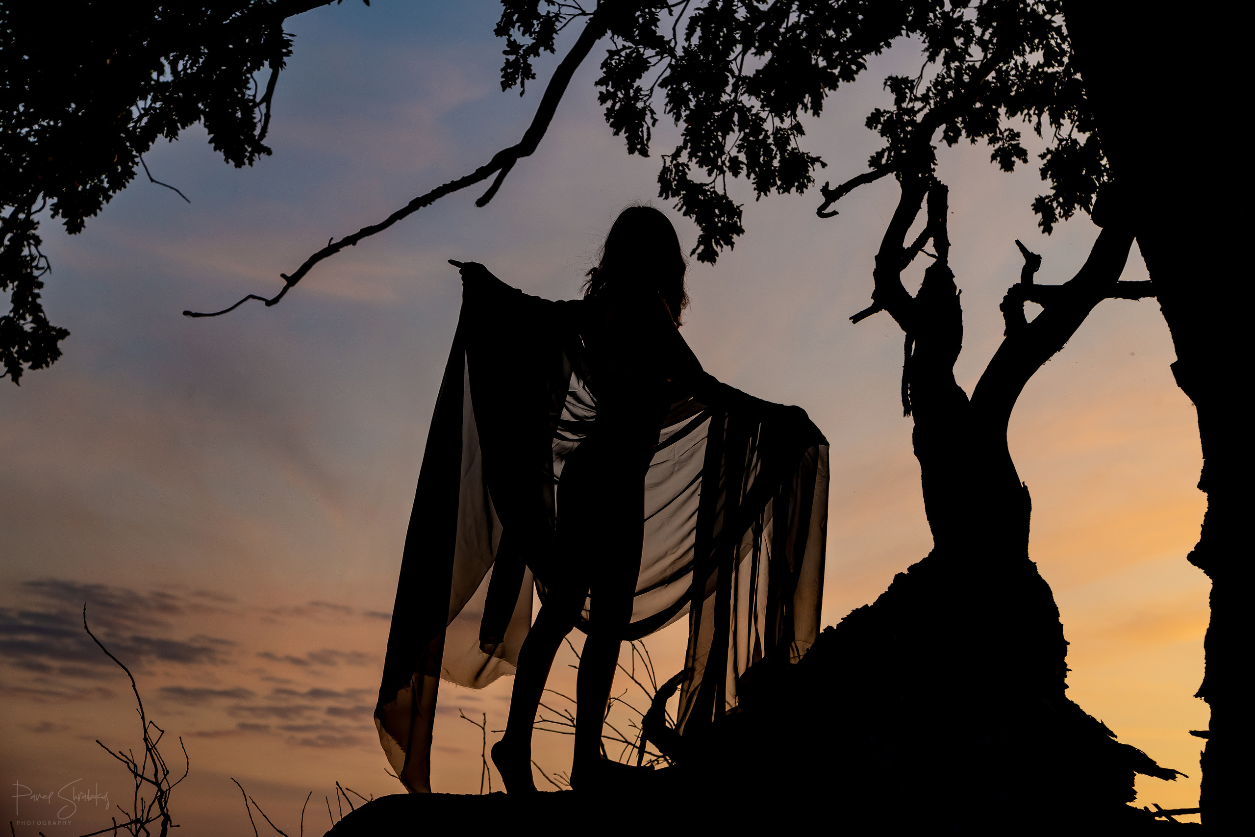 Фотограф Павел Шрайбикус