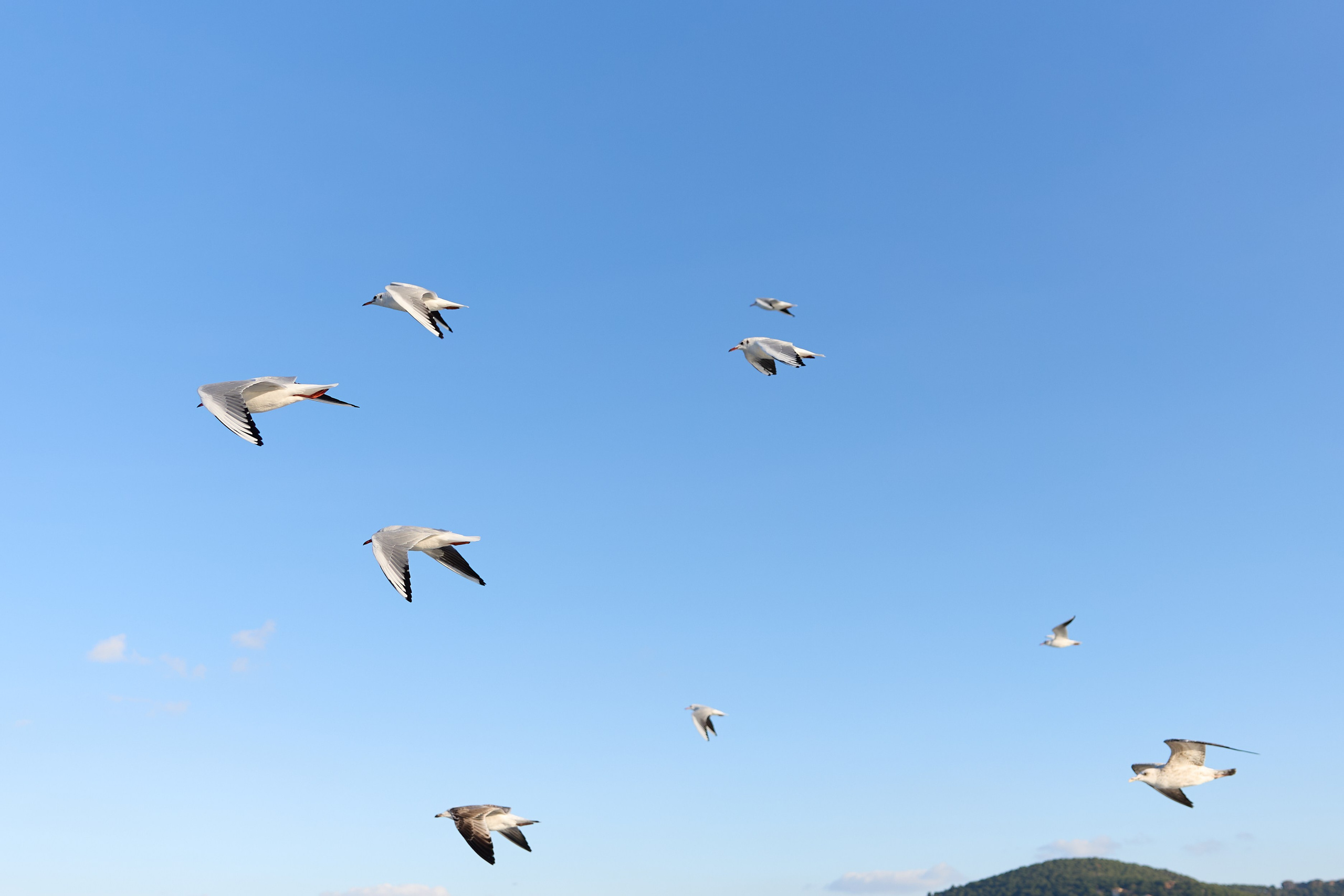 Стамбул 24. Фотограф Москва, Дима Пеллер