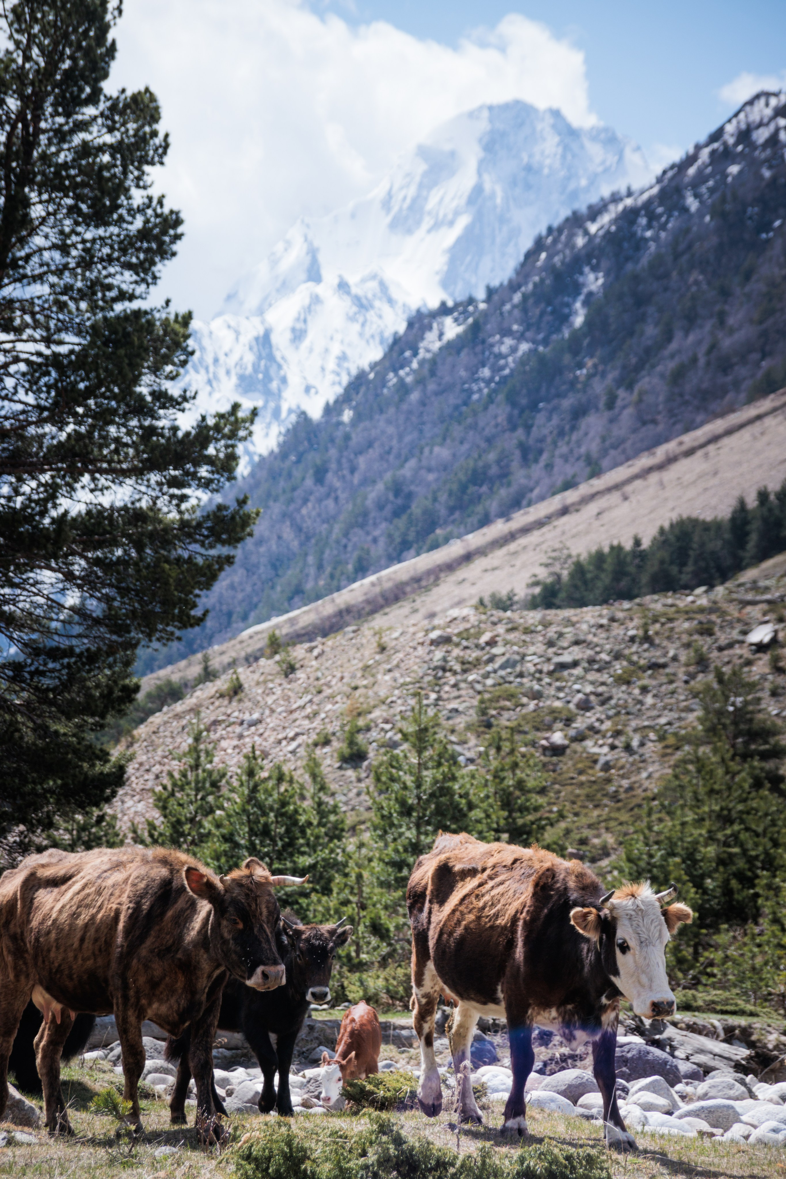 Трекинг / Ирик. Фотограф на трекинг и восхождение Эльбрус, Приэльбрусье. Елизавета Бобок