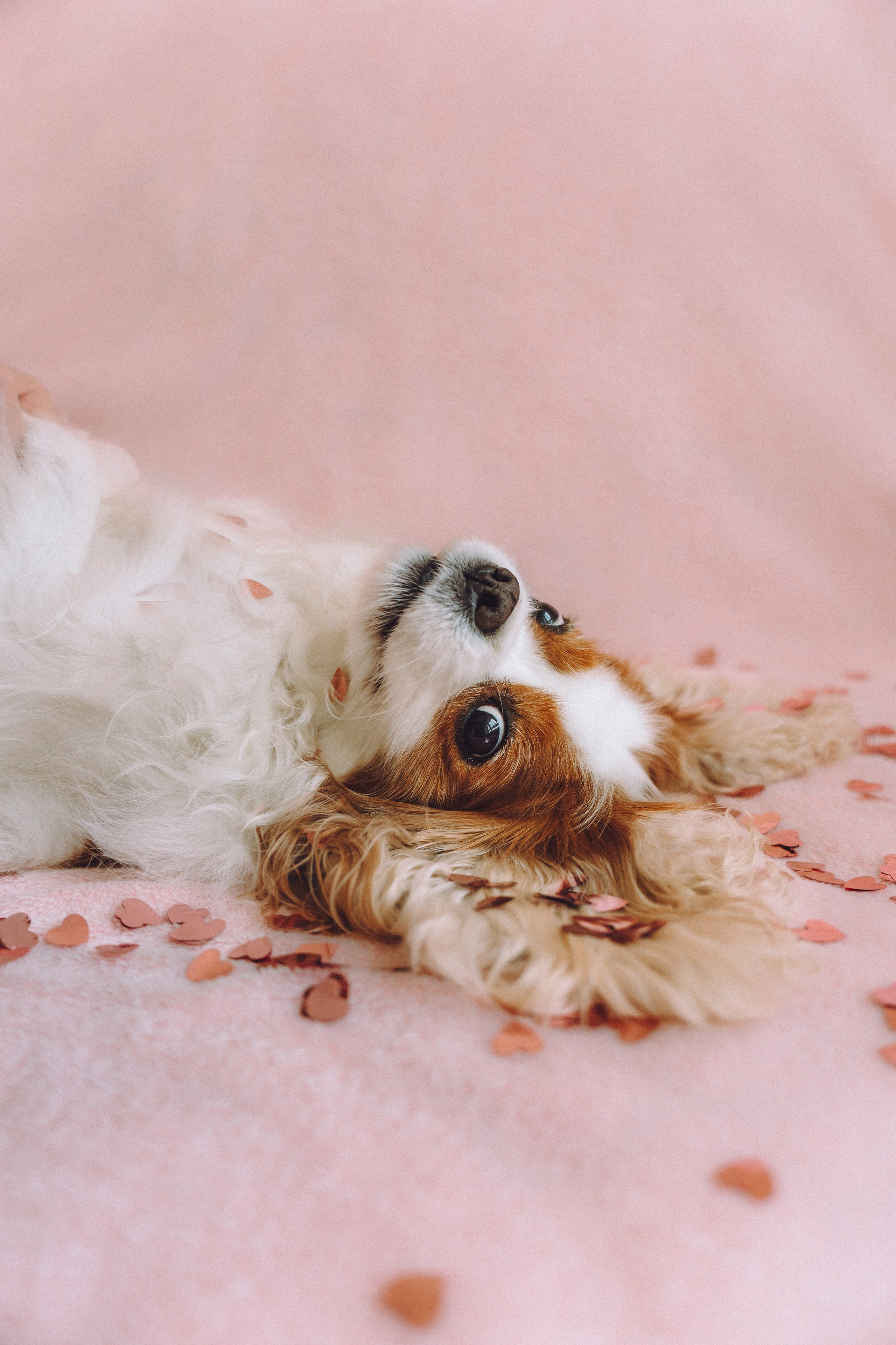 Наташа и Вики