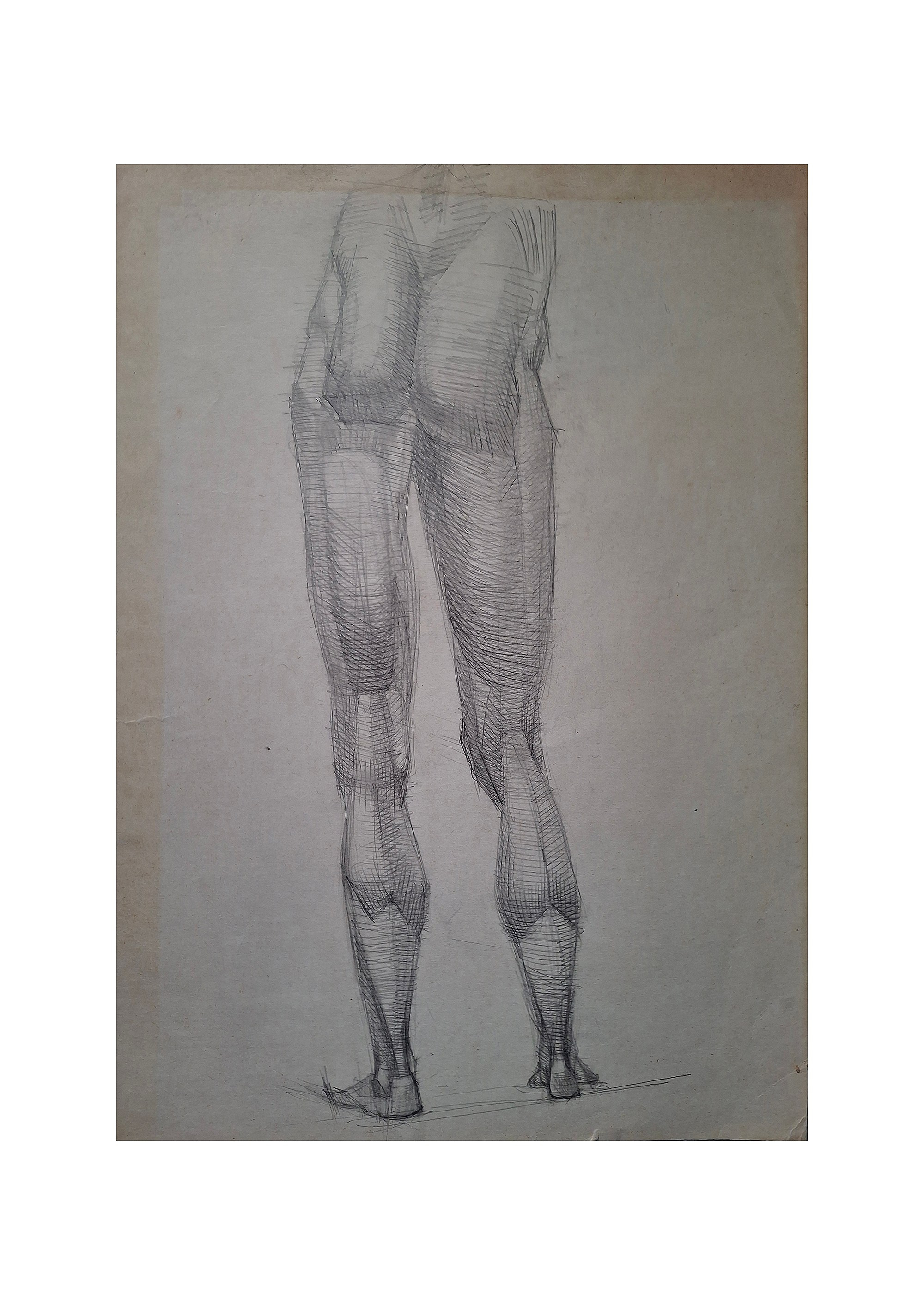 Arts & sketches. Max Matvich and Victoria Basova are professionals in their field