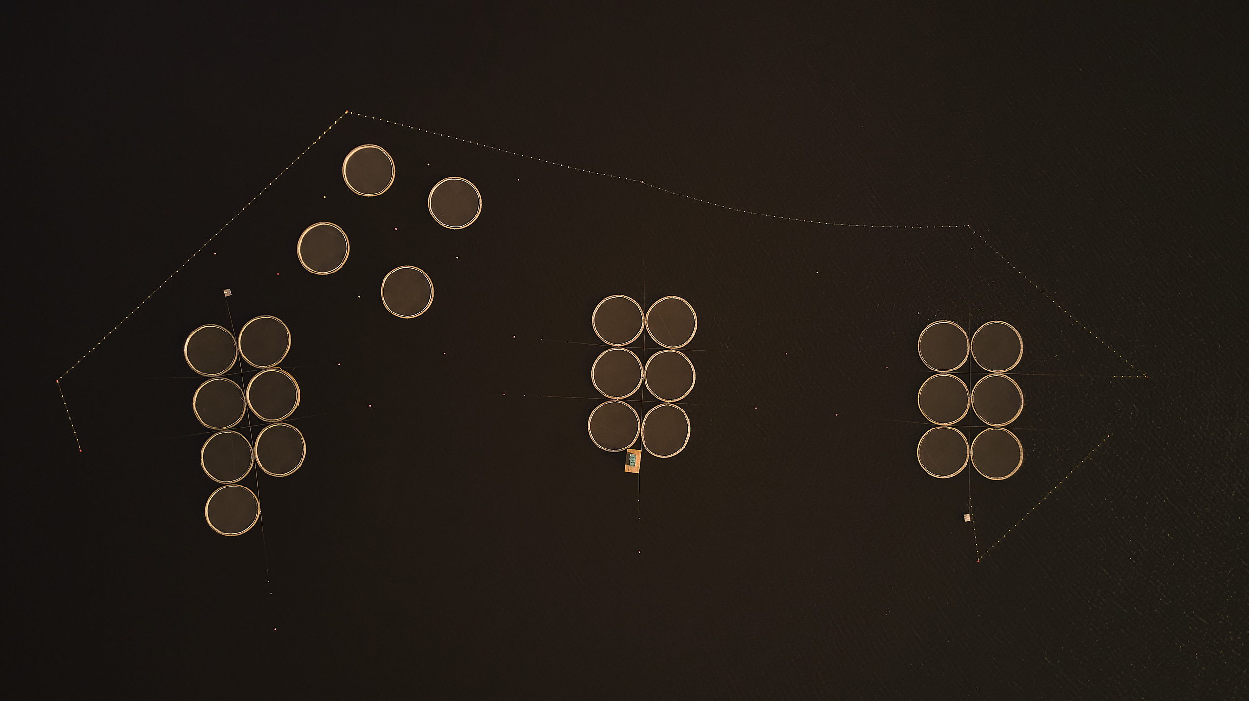 АЭРО съёмка. Фотограф Белгород Иван Веневцев