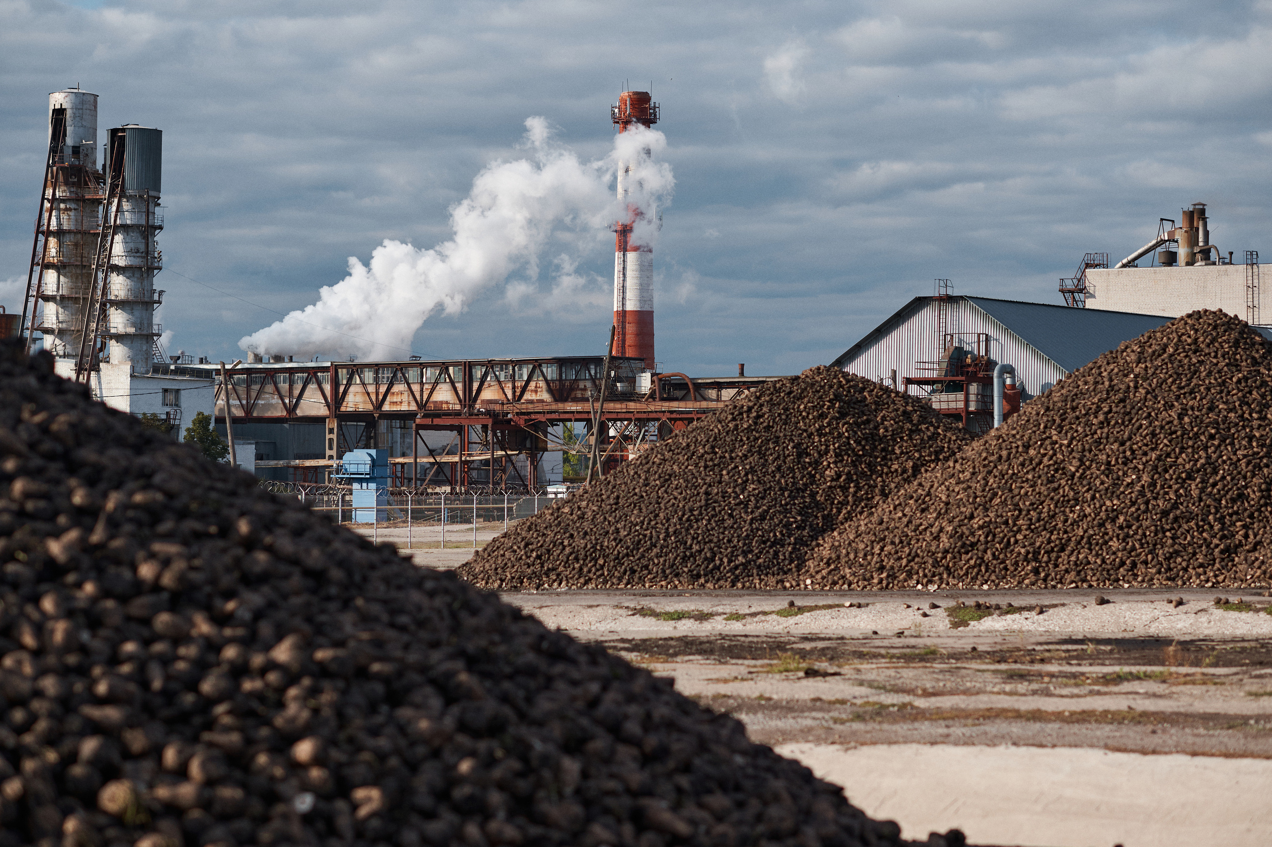 Бизнес съёмка. Фотограф Белгород Иван Веневцев