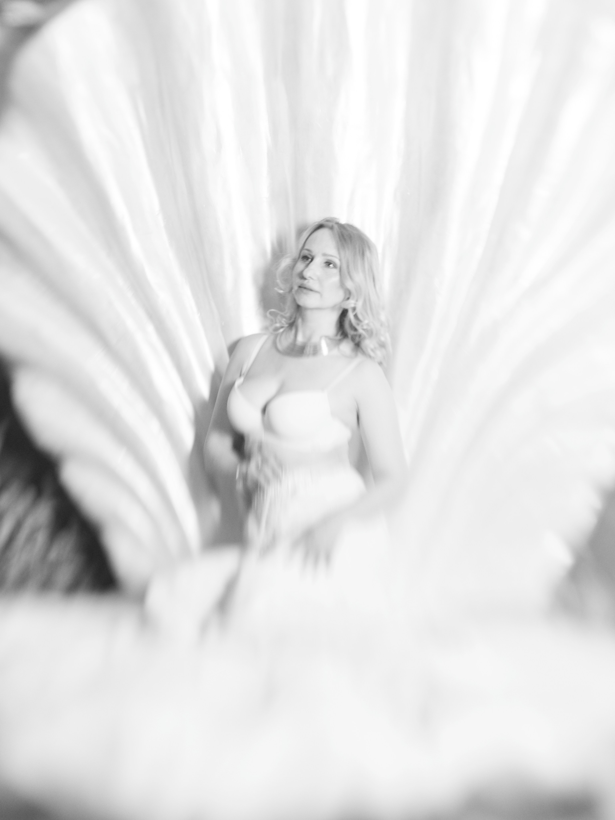 Venus, 22.02.2026. Фотопроект Olympus