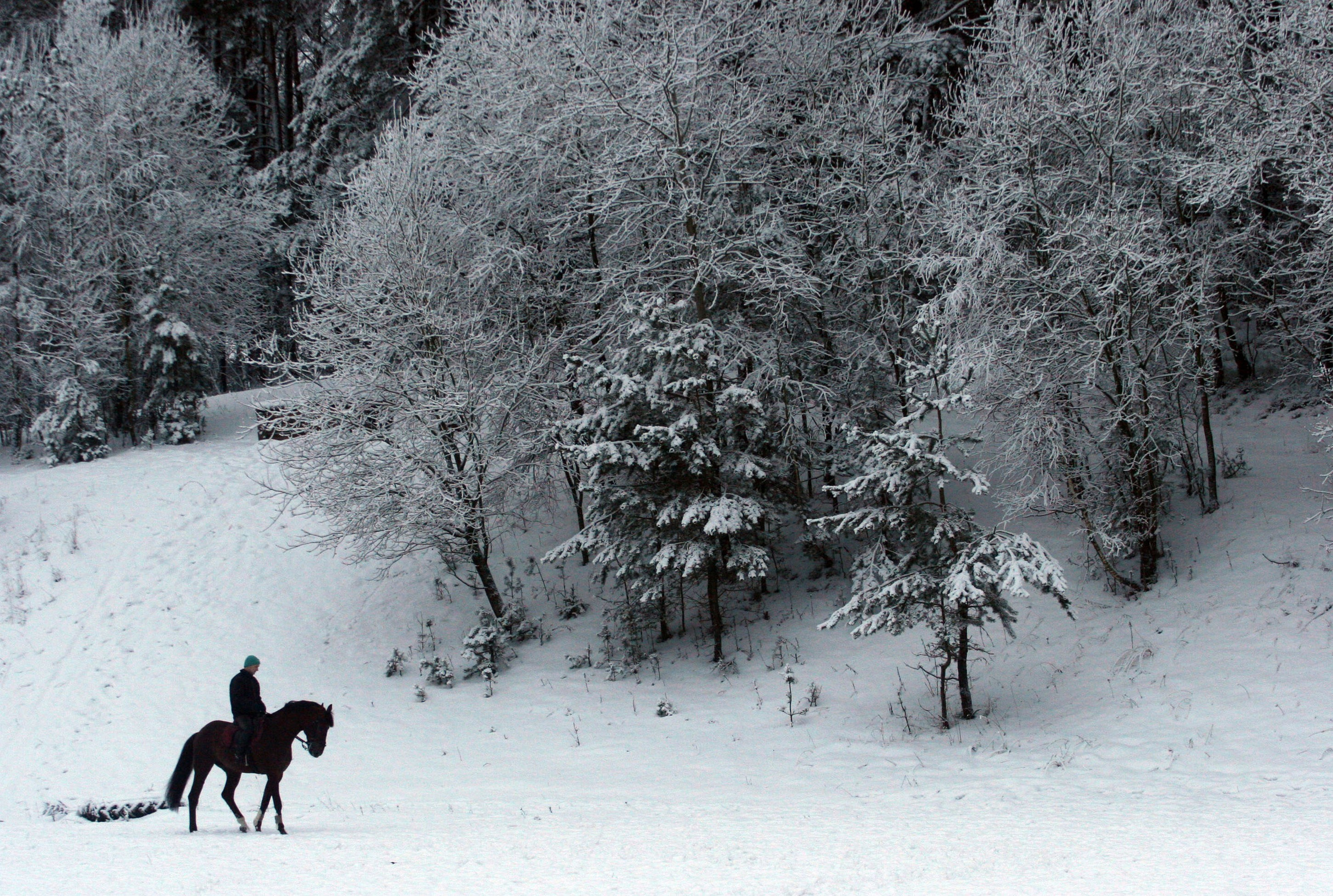 ПОРТФОЛИО/Журналистика. Репортажный фотограф в Минске. Алексей Матюшков
