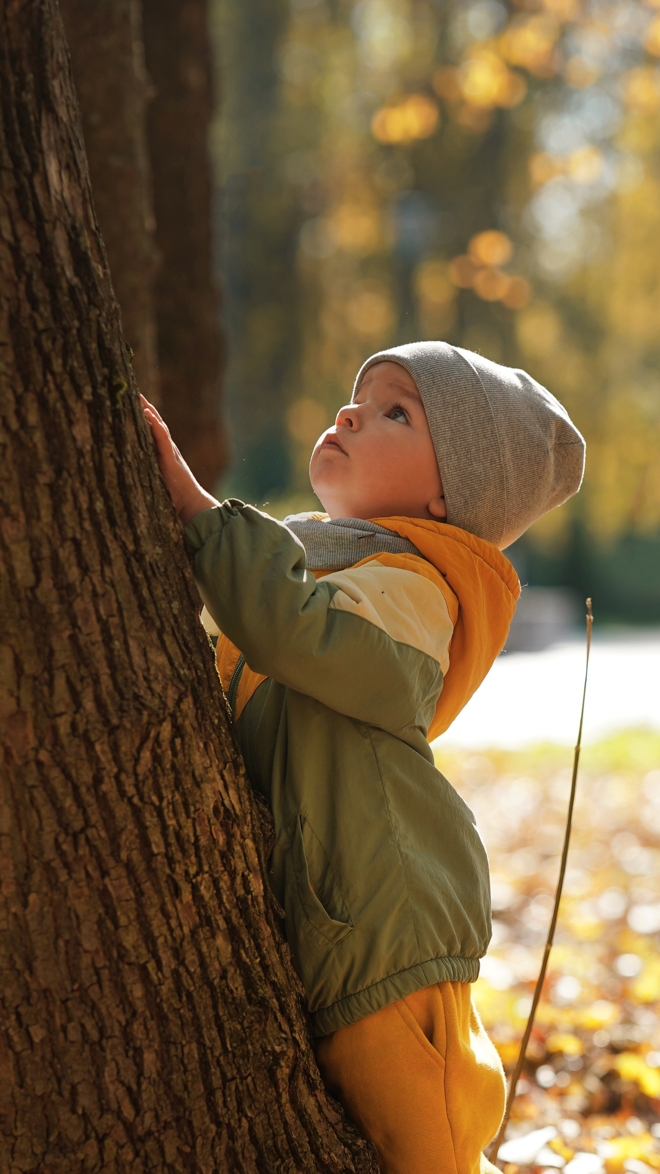 Детская осенняя прогулка. Фотограф Надежда Жемкова. Фотосъёмка, ретушь, фотомонтаж для вас и вашего бизнеса