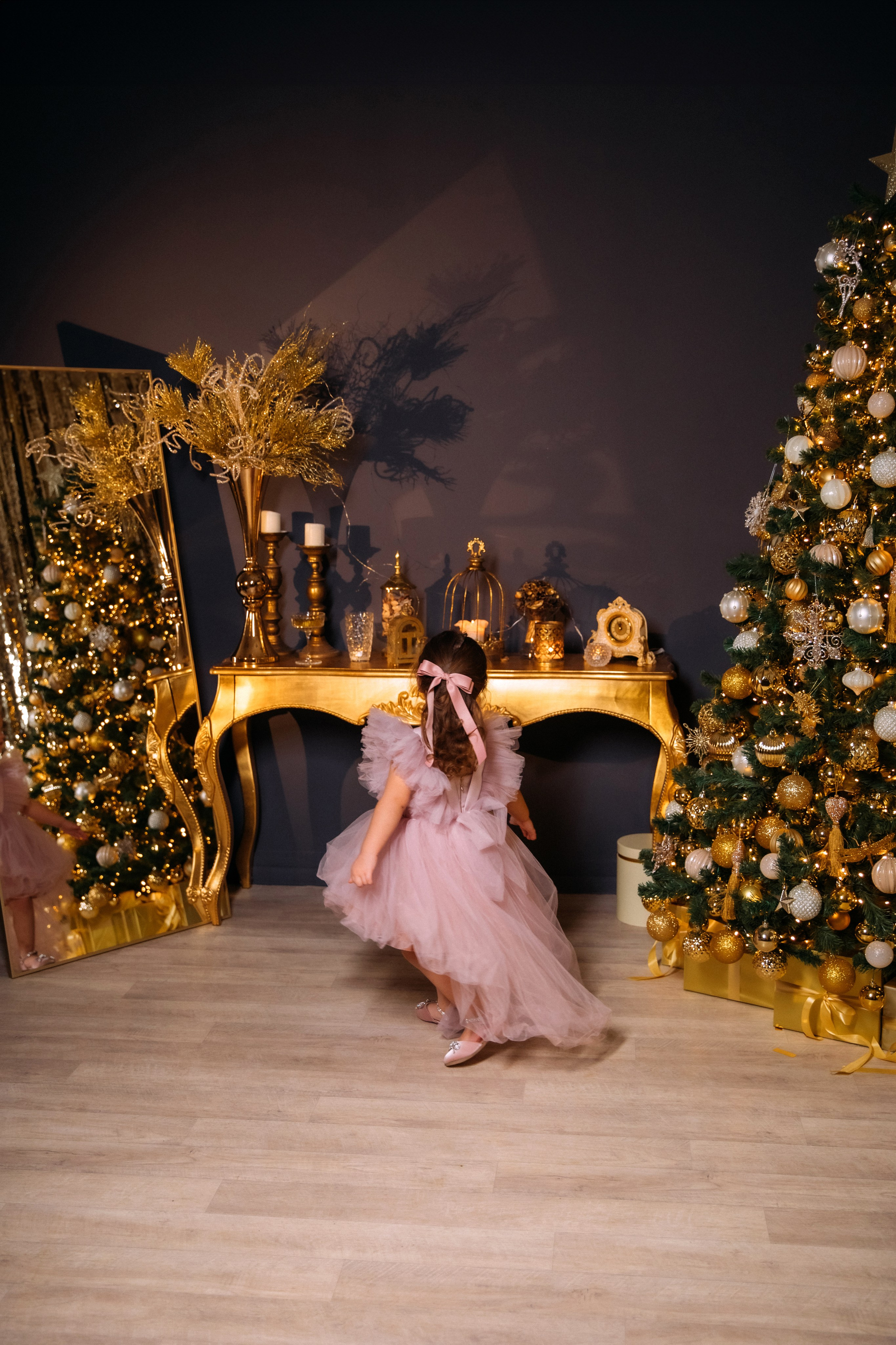 НОВЫЙ 2024 ГОД. Женский и семейный фотограф Елена Петрова