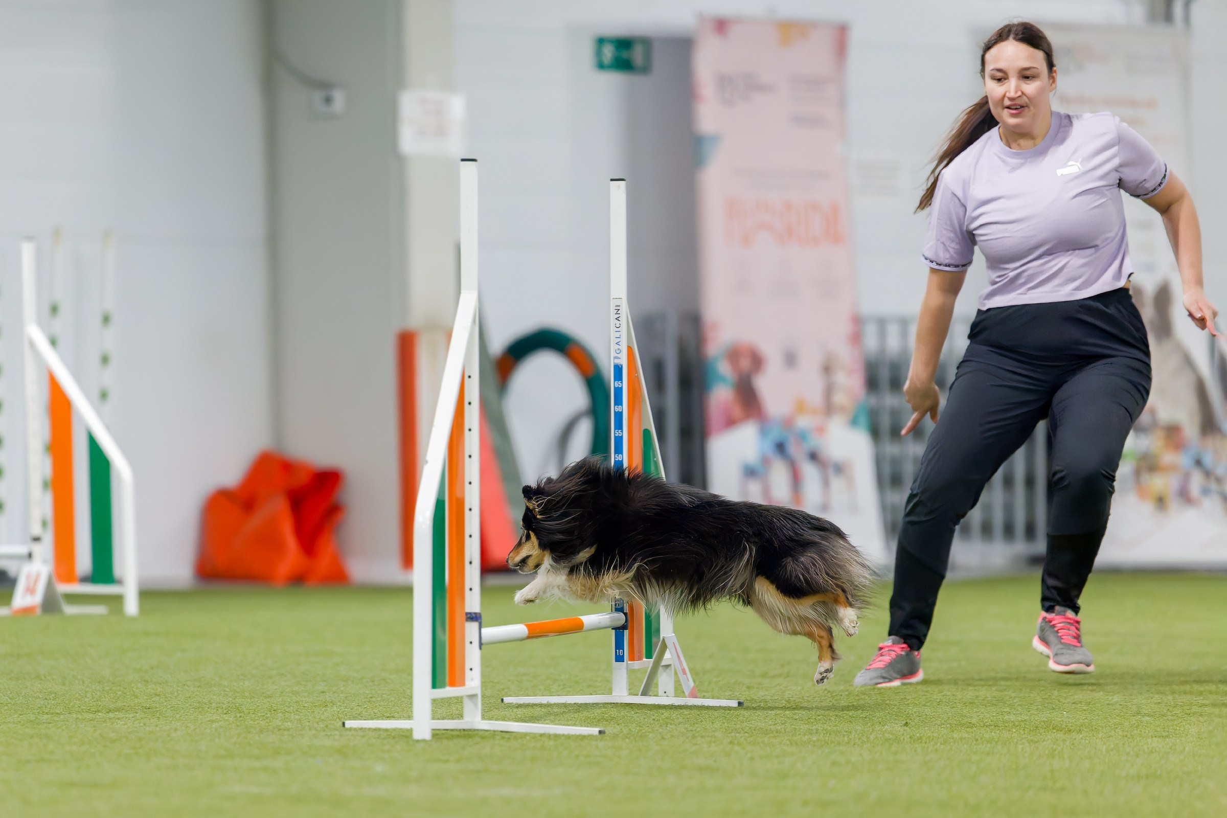 День рождения Пёсбурга — февраль 2025. Irenephoto.ru