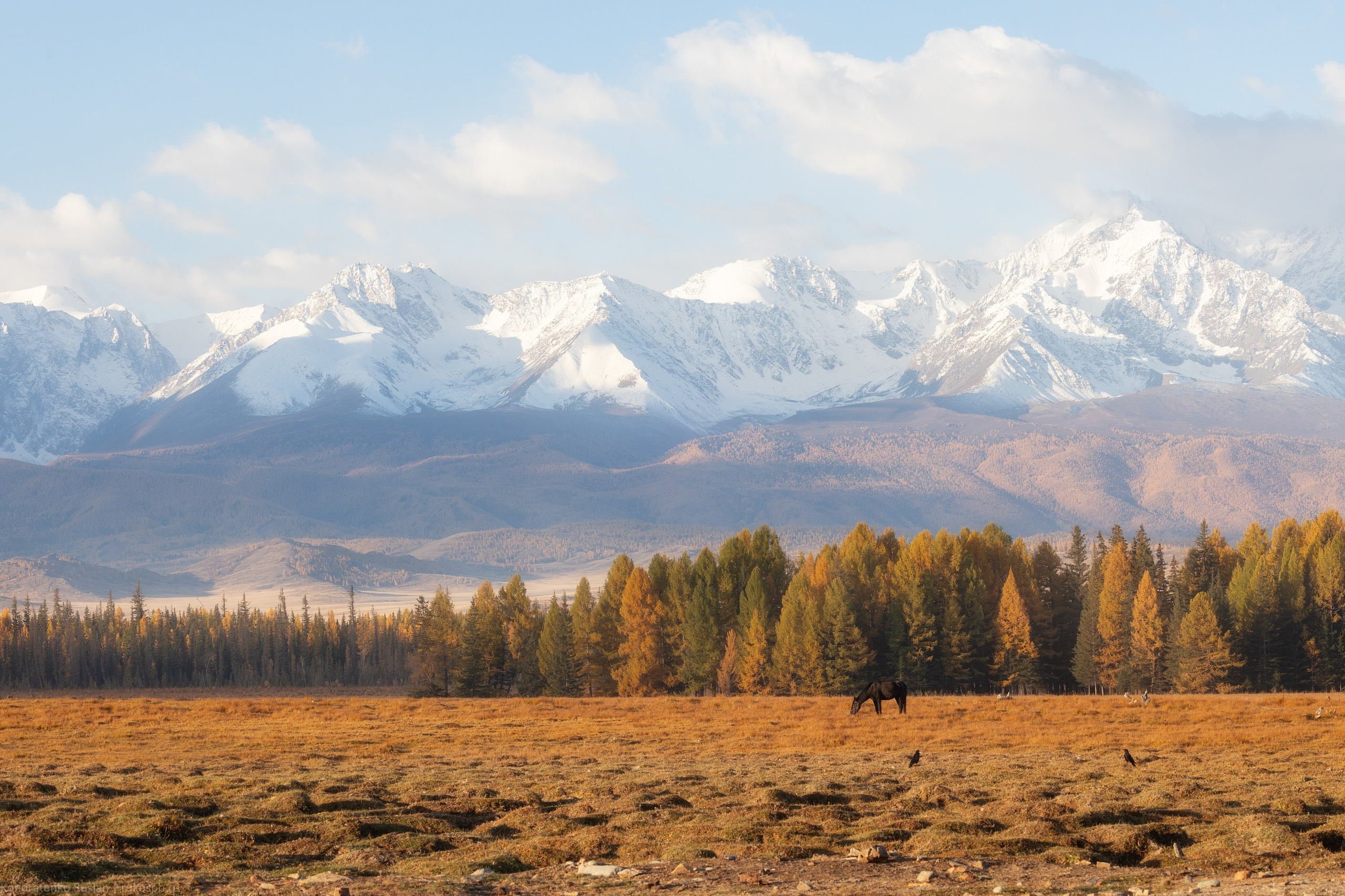 Горный Алтай. Архитектурный и пейзажный фотограф Кондратенко Руслан, Санкт-Петербург