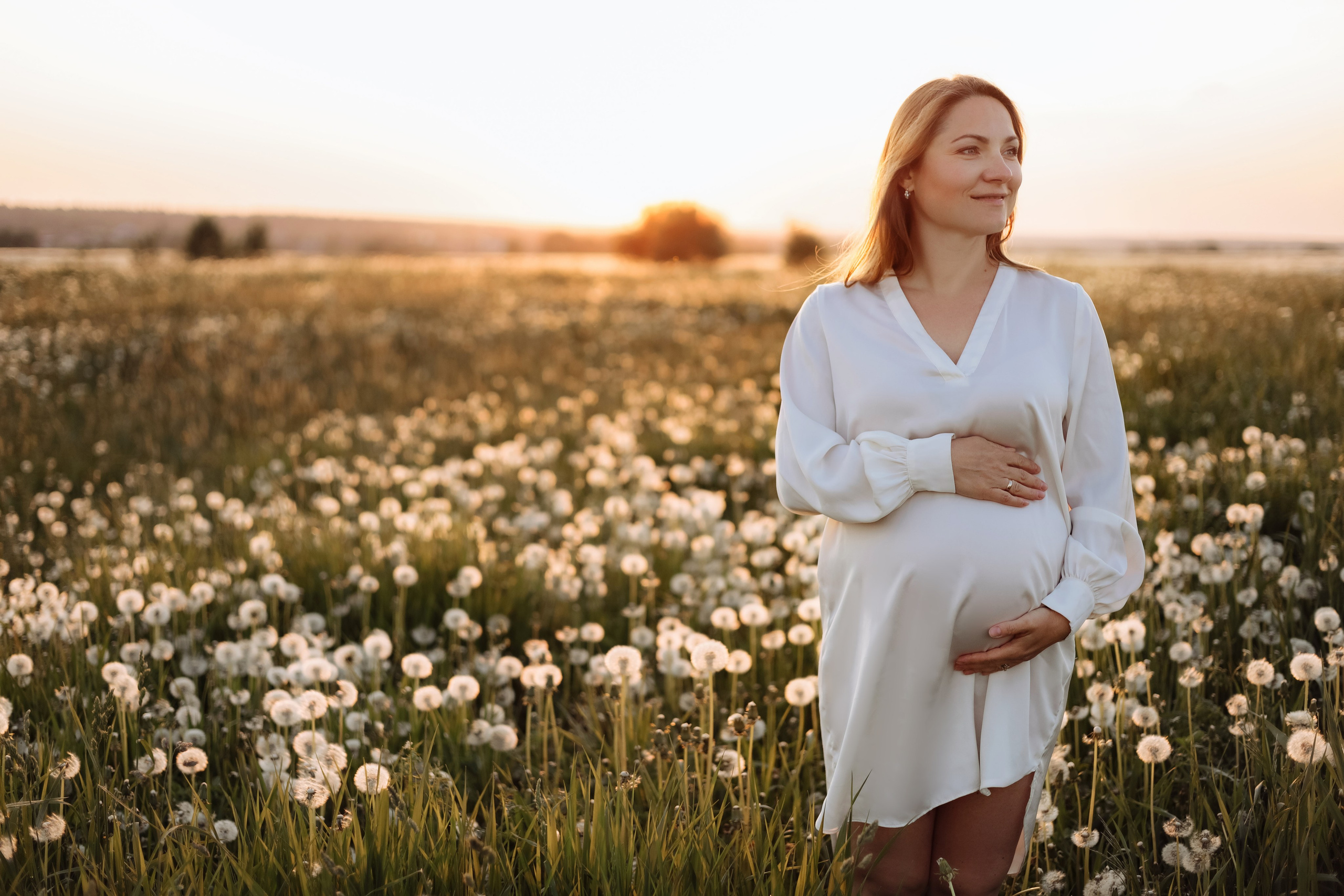 Закат. одуванчики. счастье. Фотограф в Санкт-Петербурге Знаменская Ирина