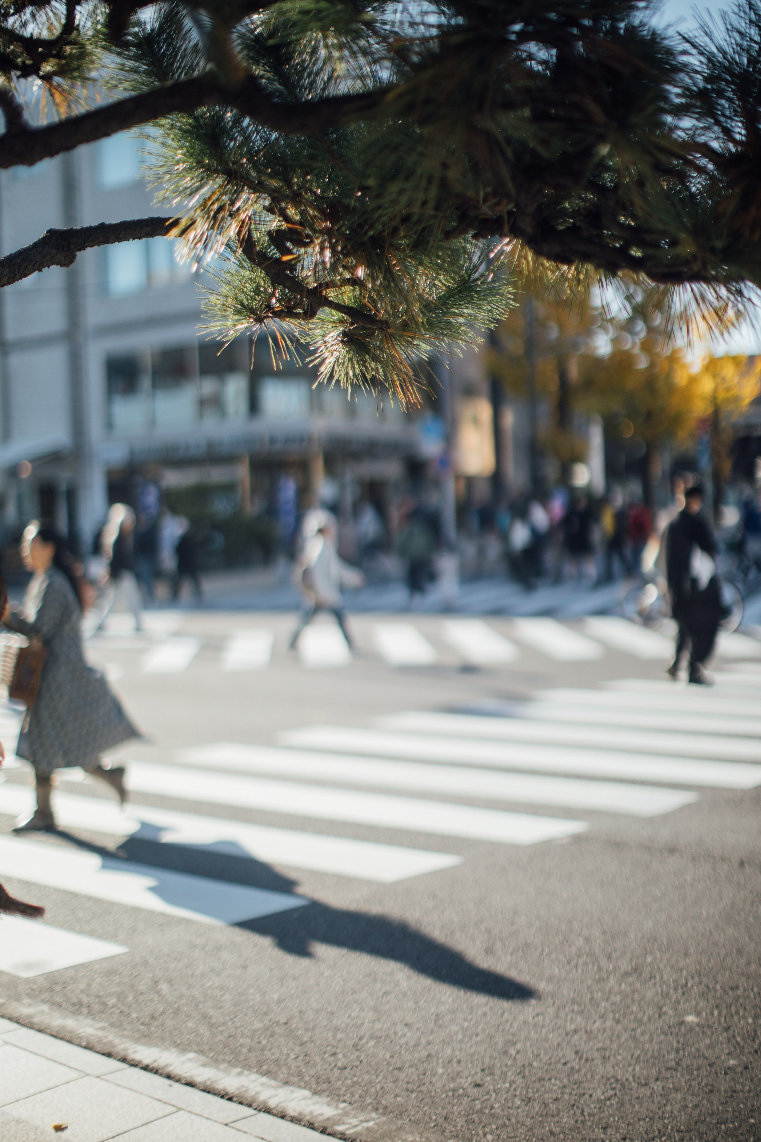 Япония. Главная