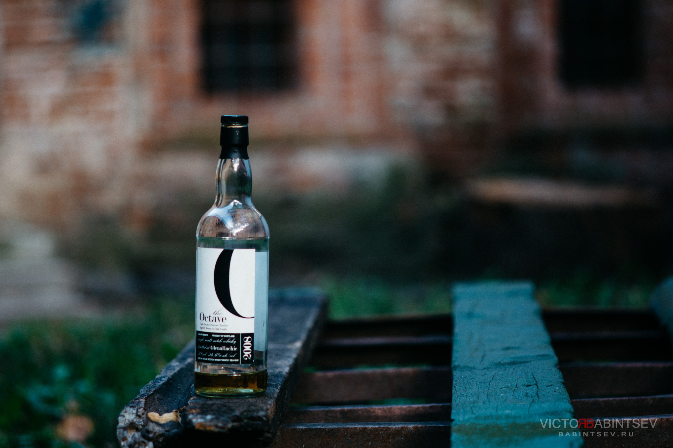 Whisky. Семейный и репортажной фотограф в Красноярске и Москве Виктор Бабинцев