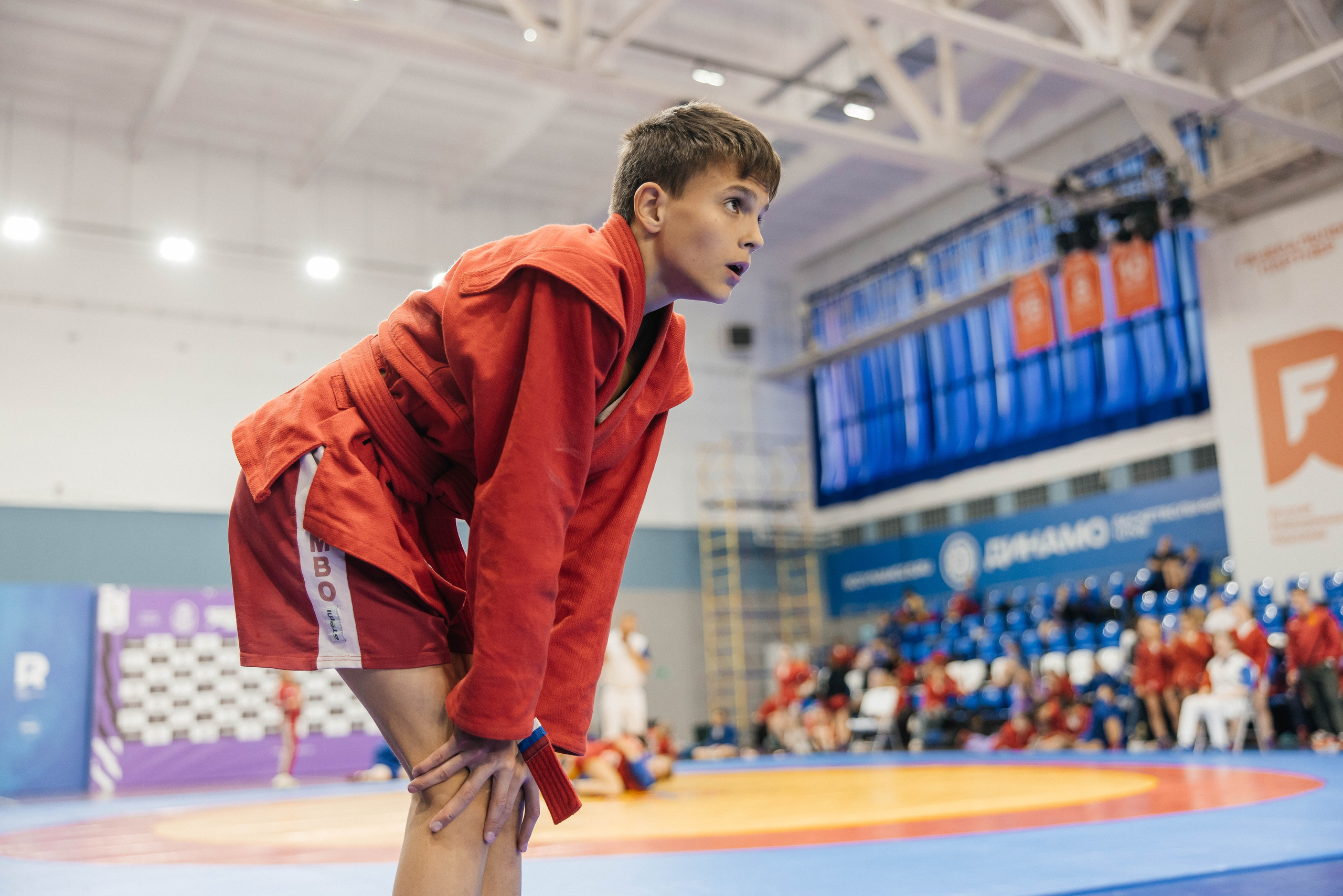 Sambo Championship. Maxim Tsoy Photography