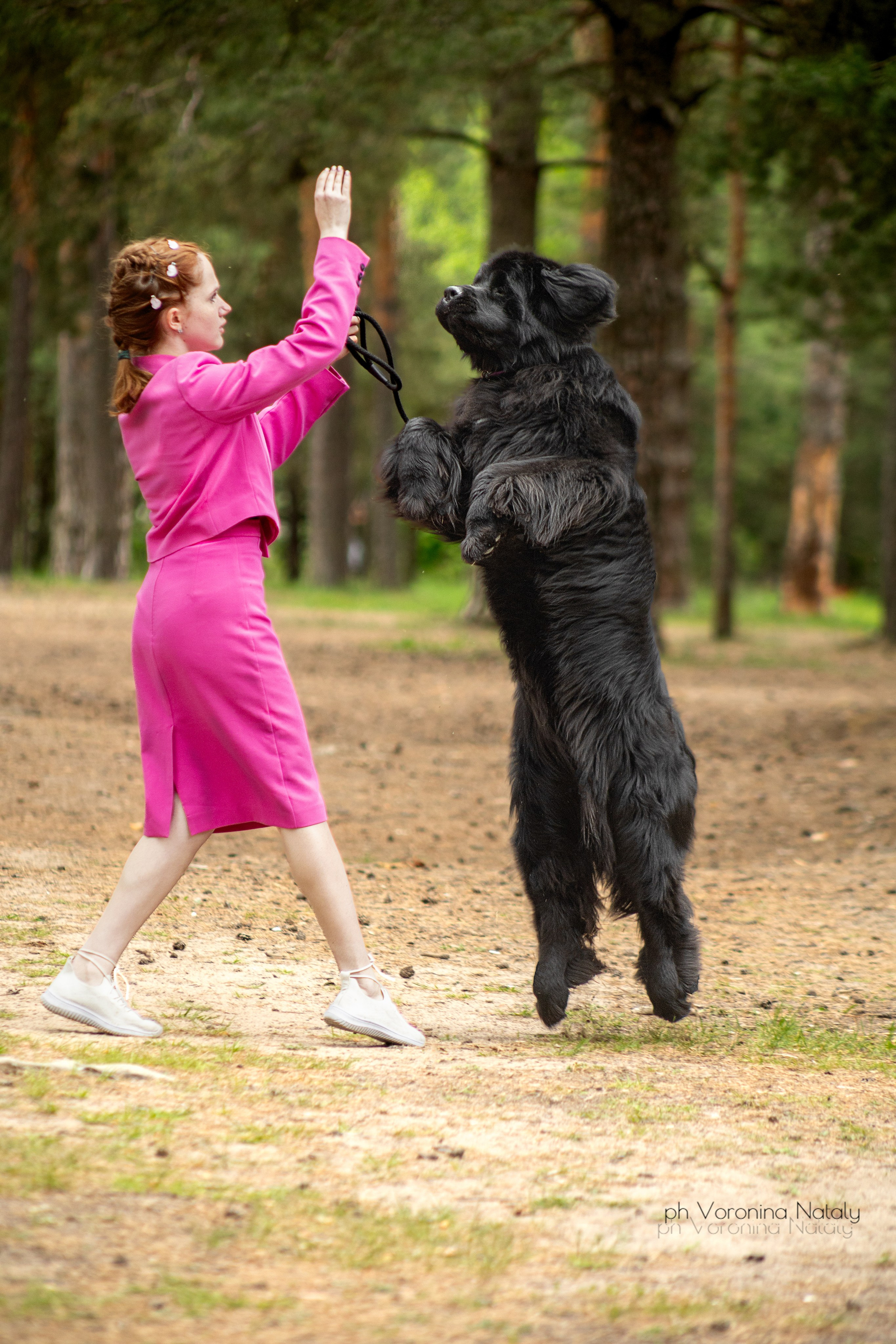 Анимализм г. Владимир. Воронина Наталия — индивидуальный и свадебный фотограф в Рязани