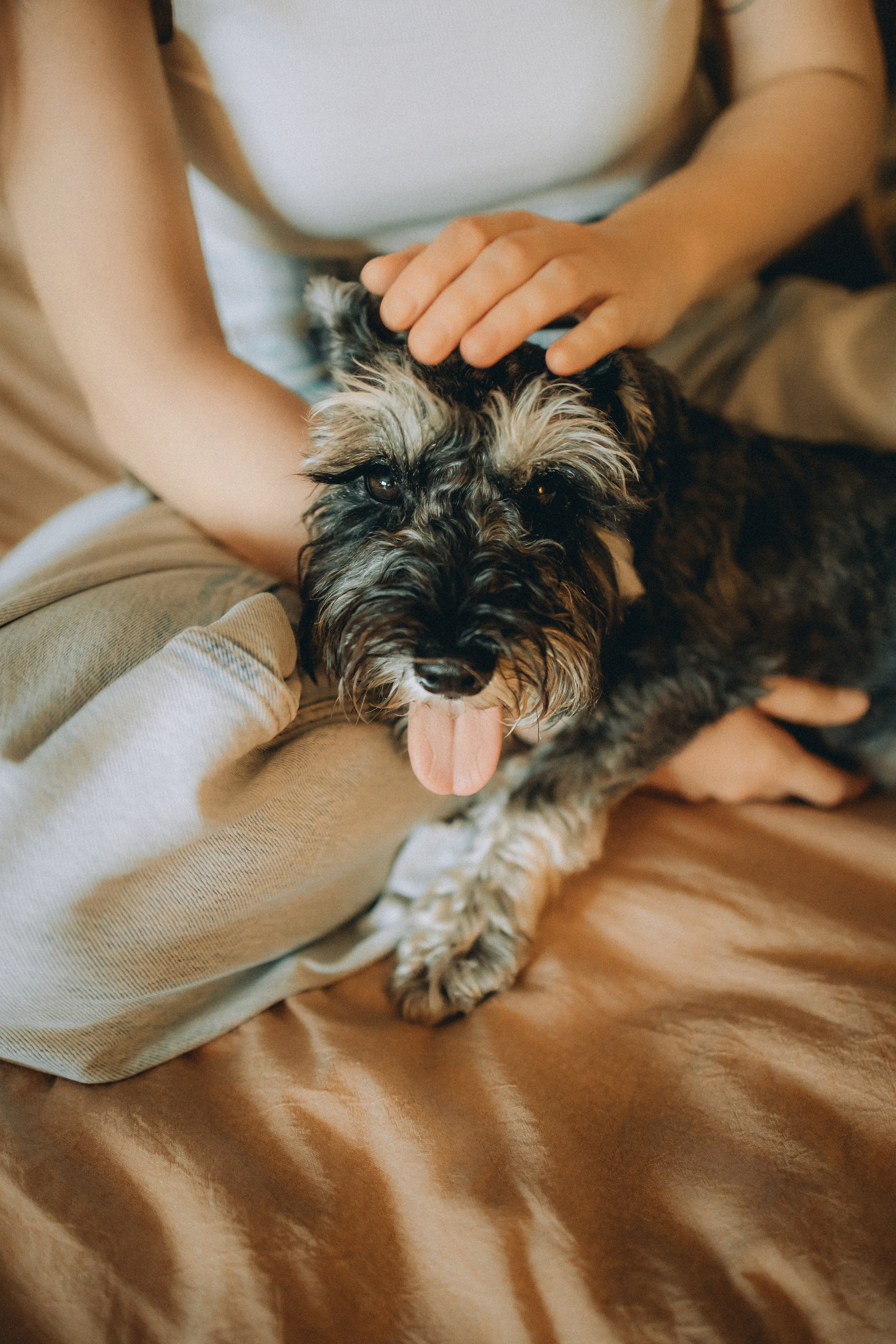 Лена и Зефир