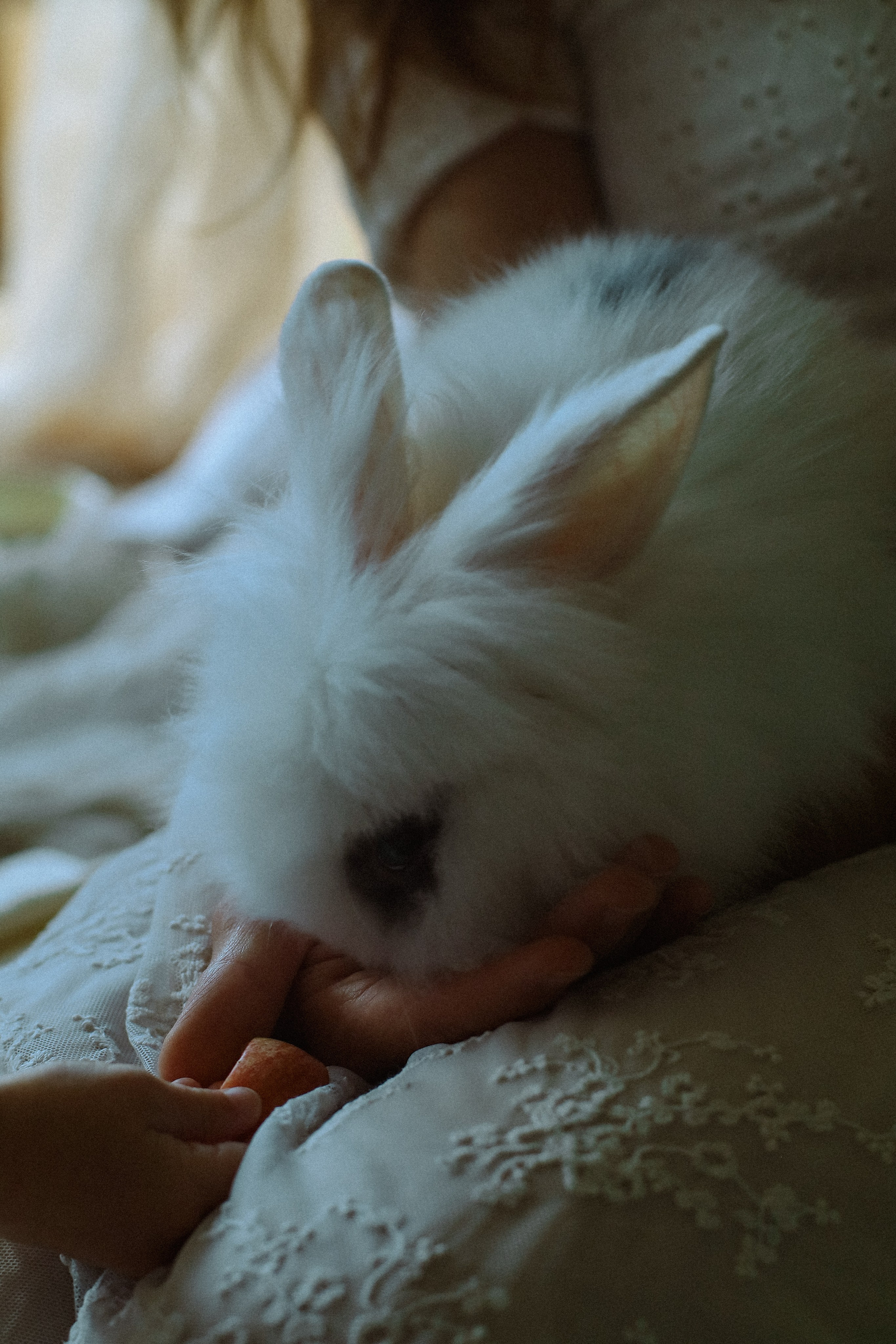 Детская семейная фотосессия. Фотограф и видеограф Анастасия Витюкова | Екатеринбург