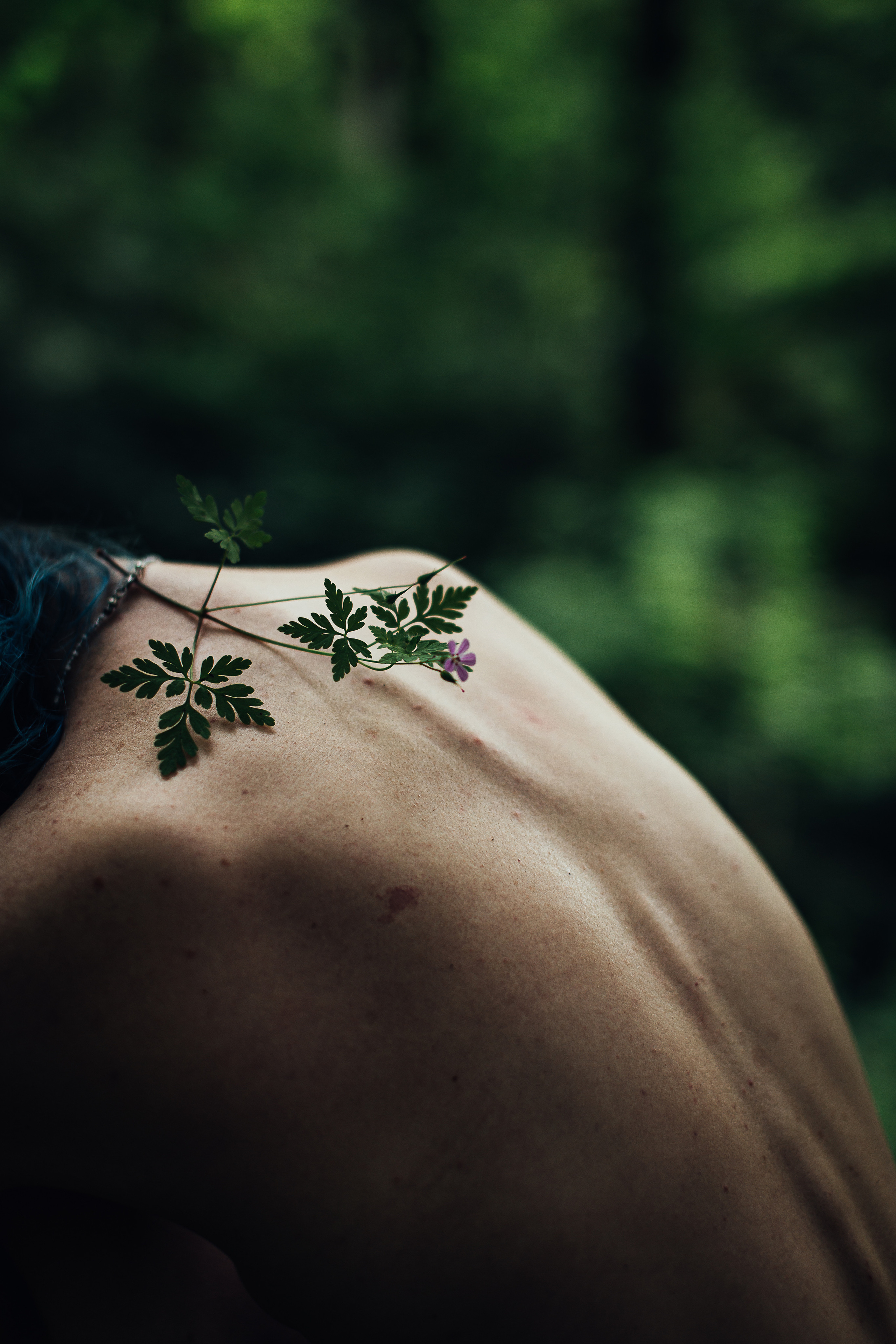 Наедине с природой (деликатное ню). Фотограф Краснодар/преподаватель фотографии