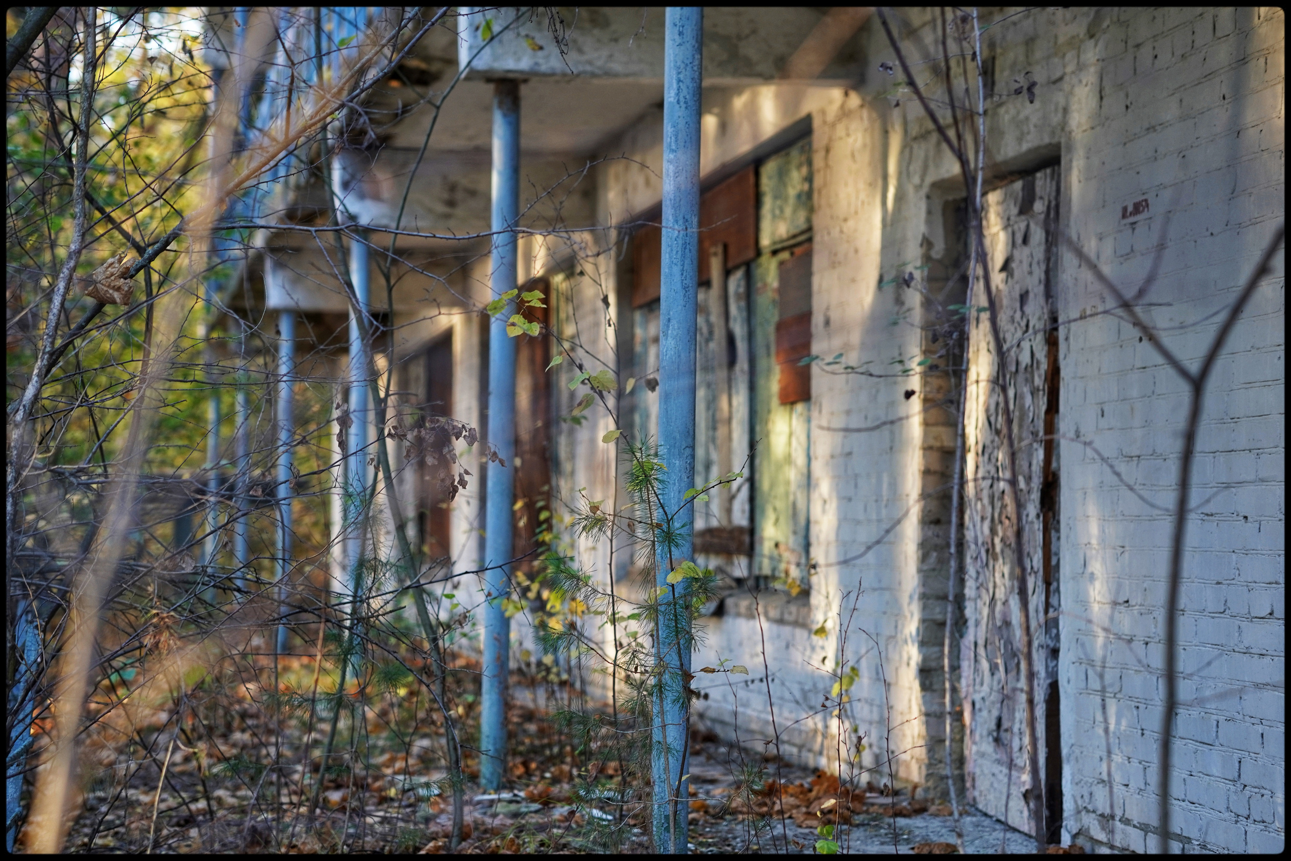 Заброшка. Портретная съемка в Москве, студийный фотограф Игорь Фомин