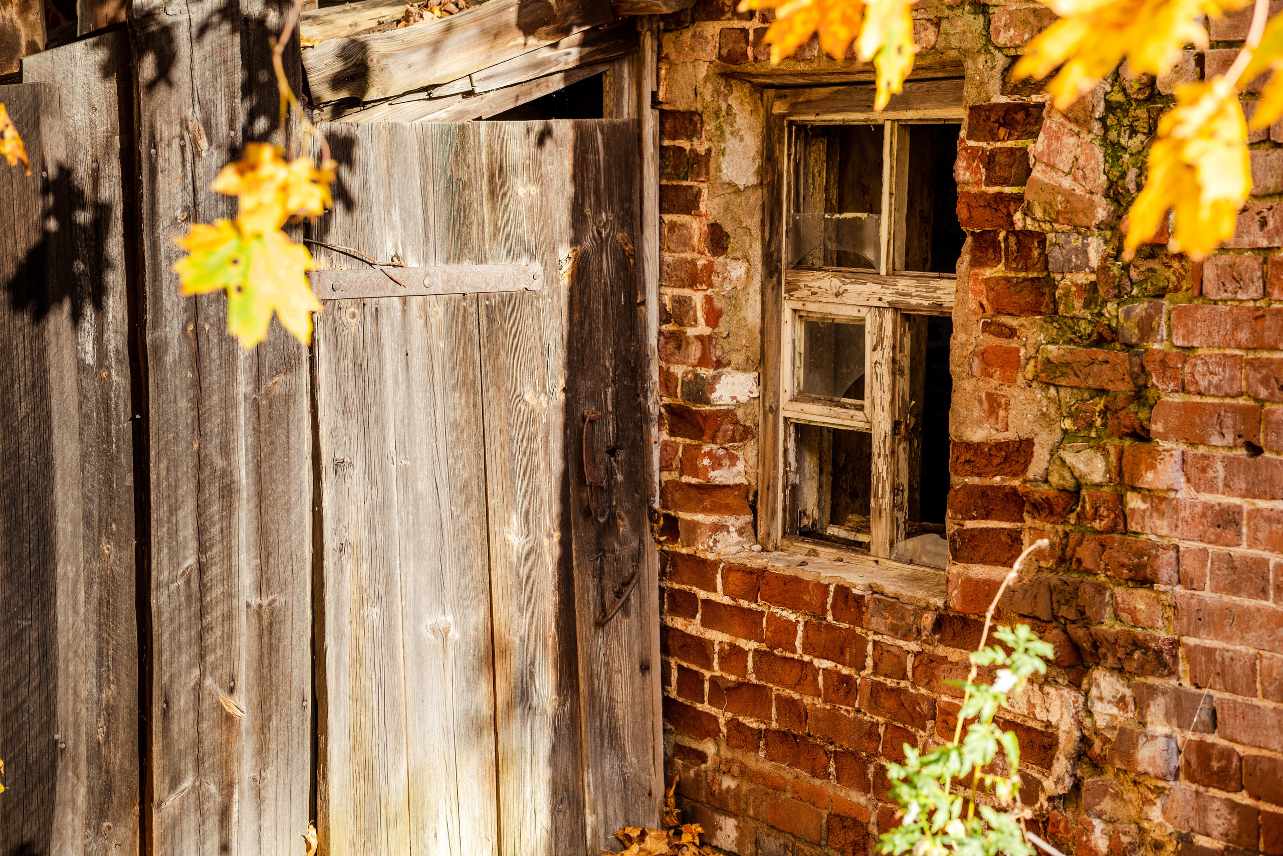 Заброшка. Портретная съемка в Москве, студийный фотограф Игорь Фомин