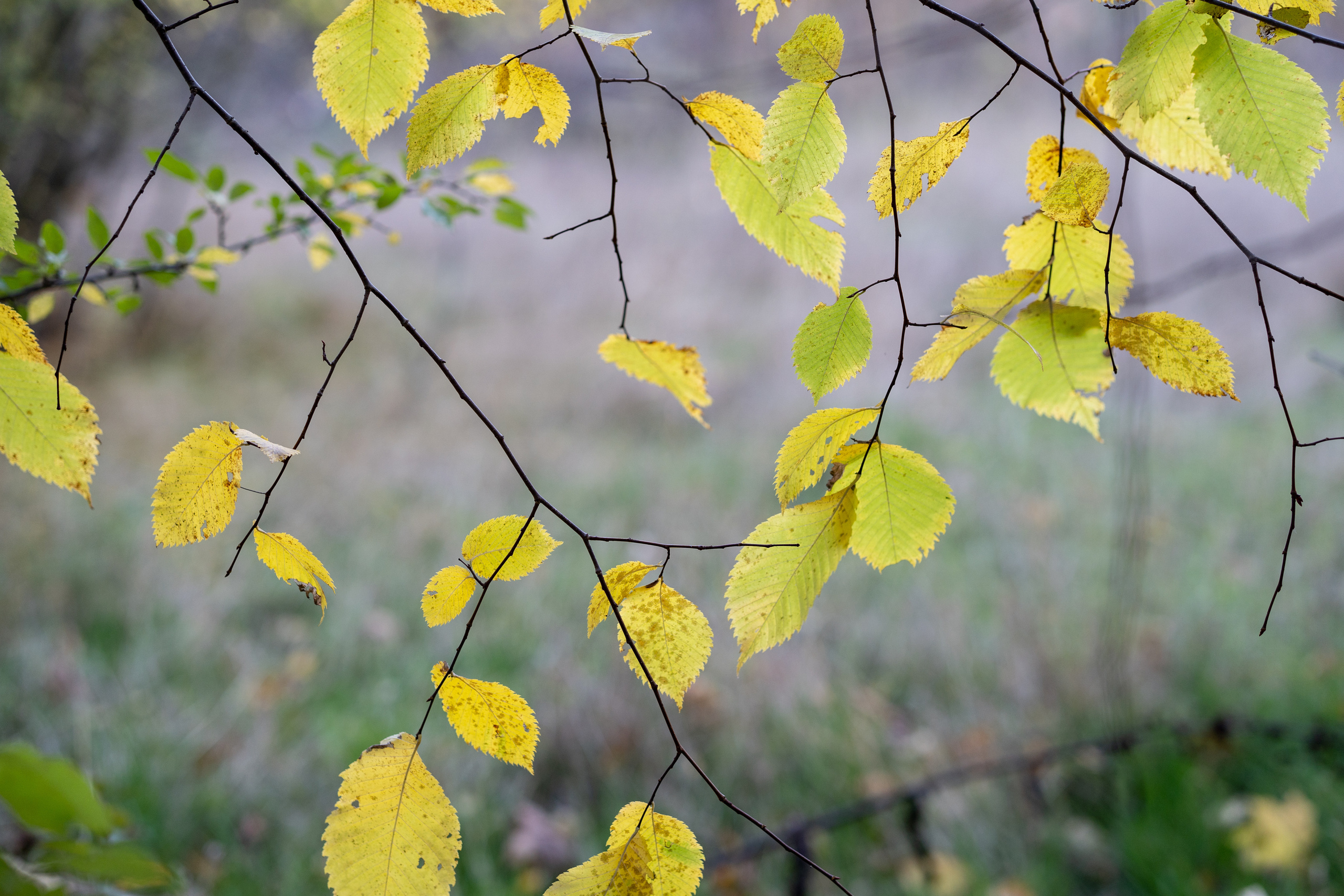 Заброшка. Портретная съемка в Москве, студийный фотограф Игорь Фомин