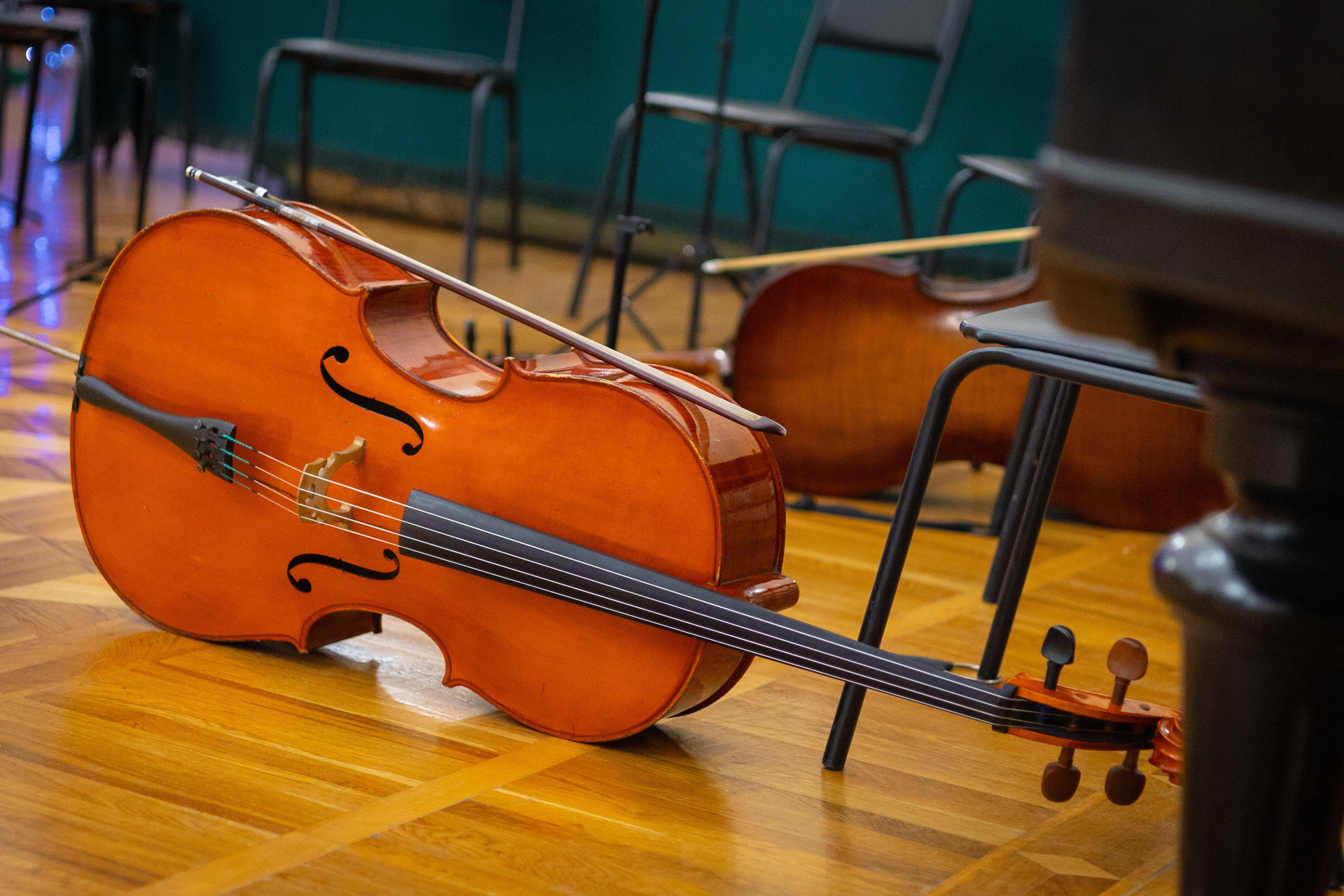 Новогодний бал в музее А. П. Чехова. Фотограф Наталья Матвеева