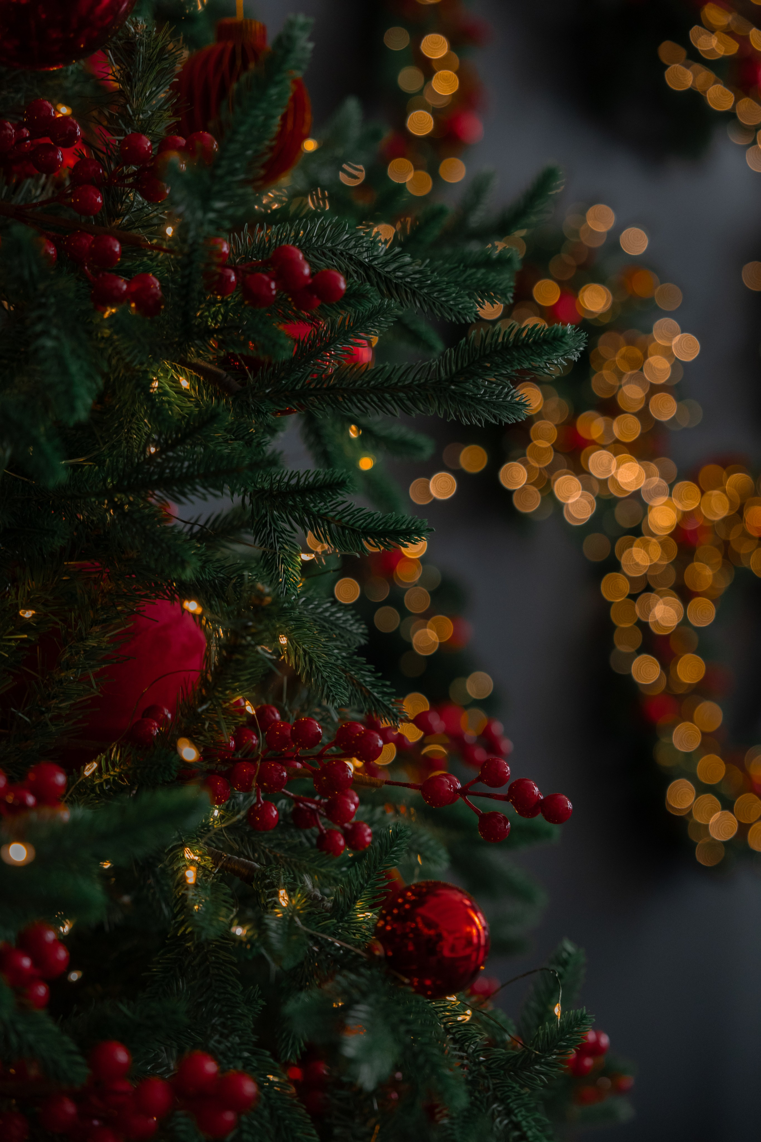 Воздух (Мацестинская 20). Семейный фотограф Валентина Качур в Сочи