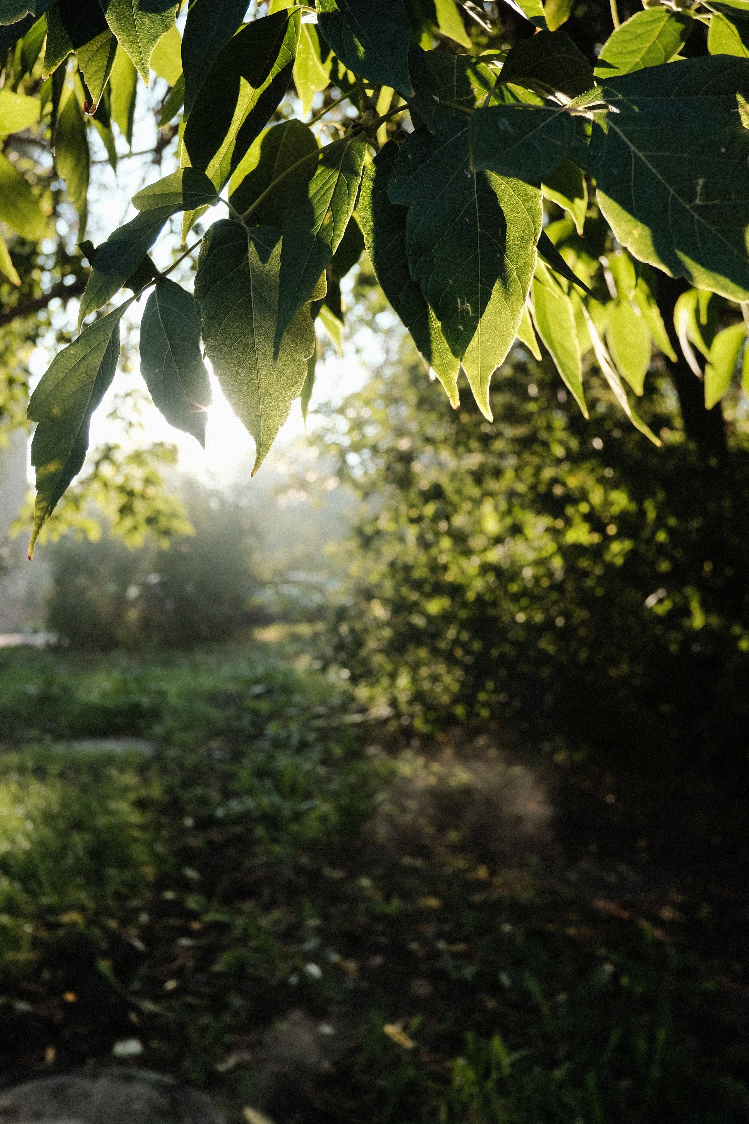 Наблюдения. Семейный фотограф в Новосибирске Артём Кузнецов