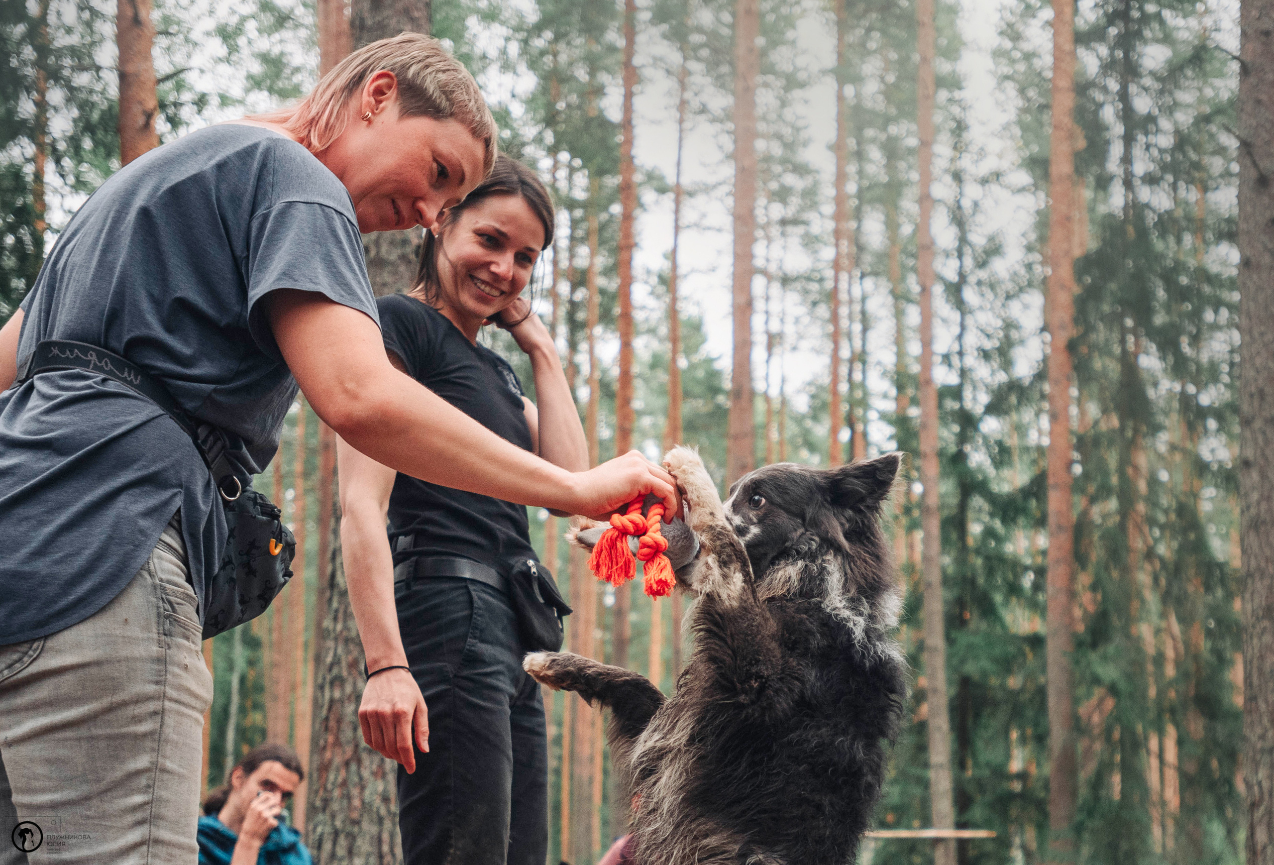 МУДИ — ВСТРЕЧА 2023. Фотограф — анималист Саратов/Москва|Плужникова Юлия