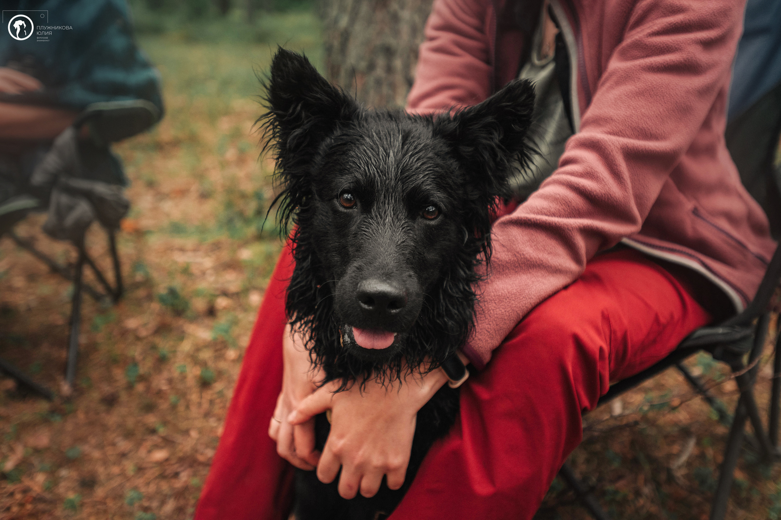 МУДИ — ВСТРЕЧА 2023. Фотограф — анималист Саратов/Москва|Плужникова Юлия