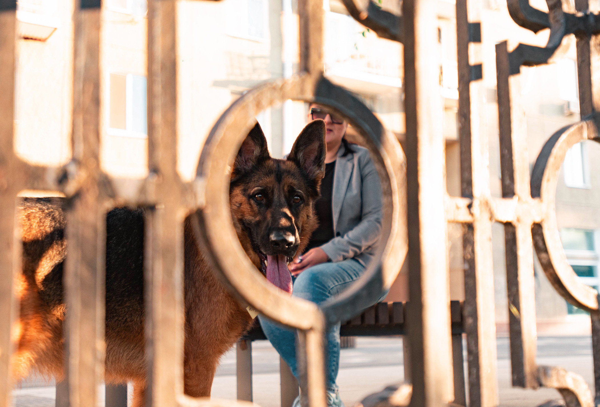Лена и Ирма. Фотограф — анималист Саратов/Москва|Плужникова Юлия