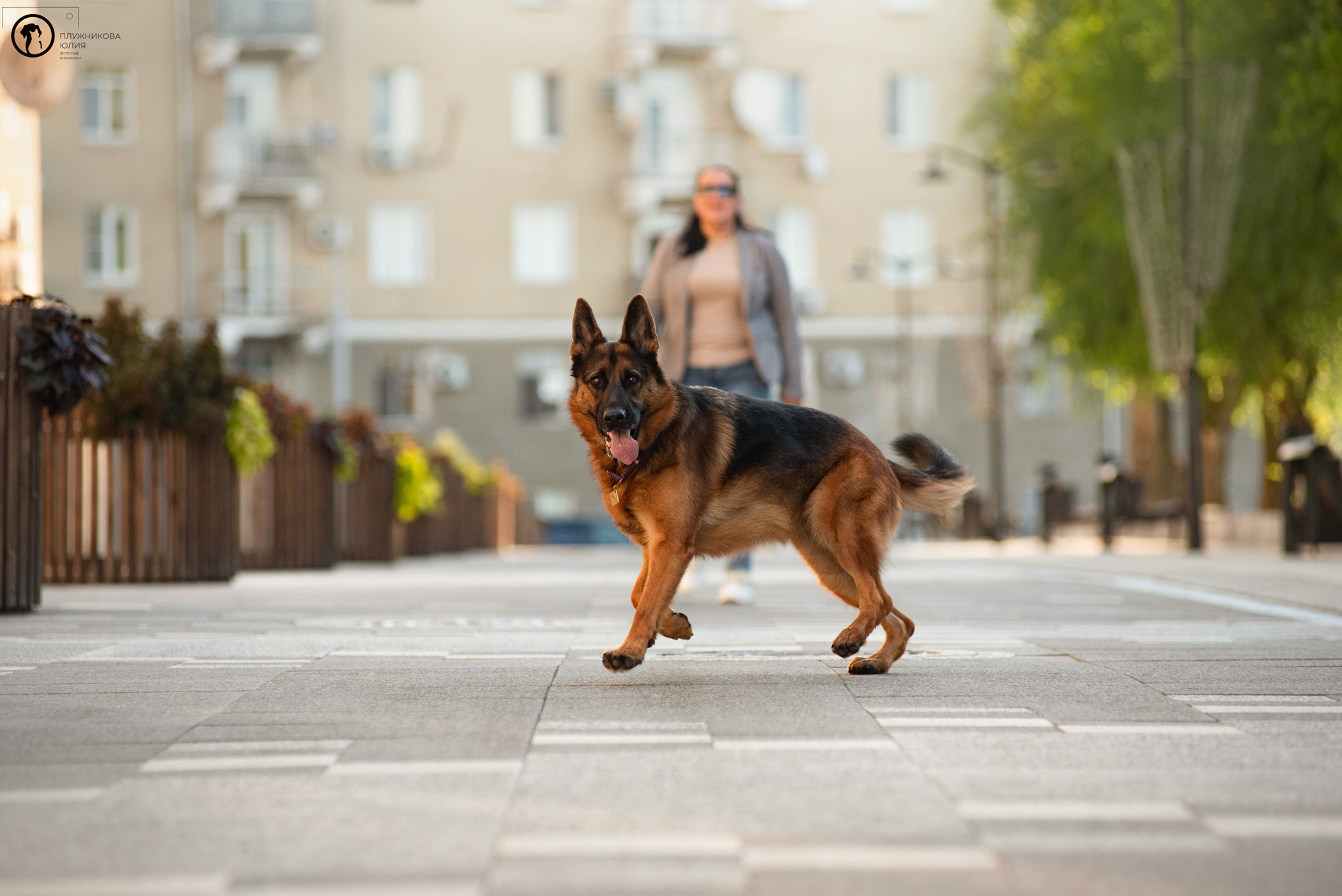 Лена и Ирма. Фотограф — анималист Саратов/Москва|Плужникова Юлия