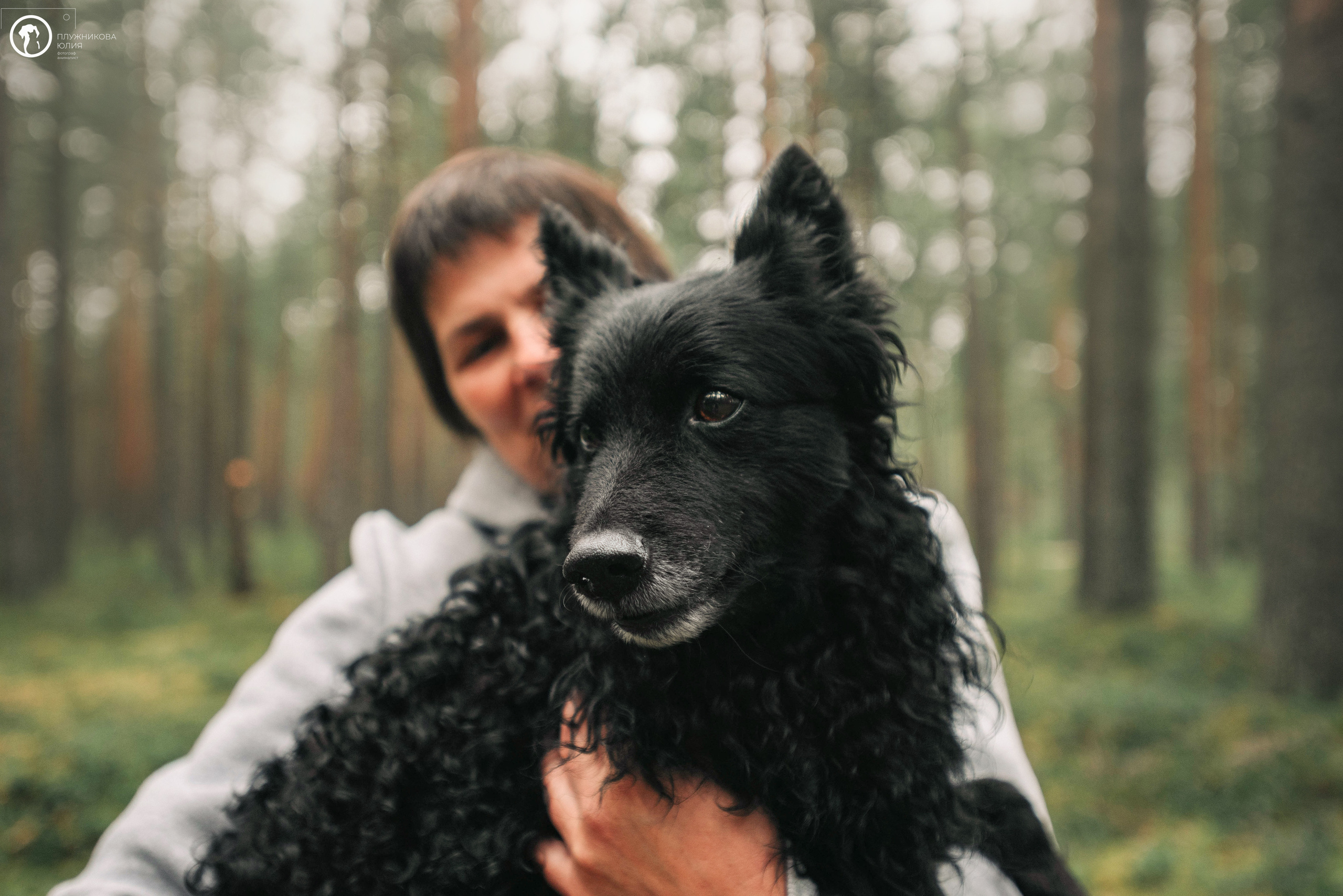 МУДИ — ВСТРЕЧА 2023. Фотограф — анималист Саратов/Москва|Плужникова Юлия