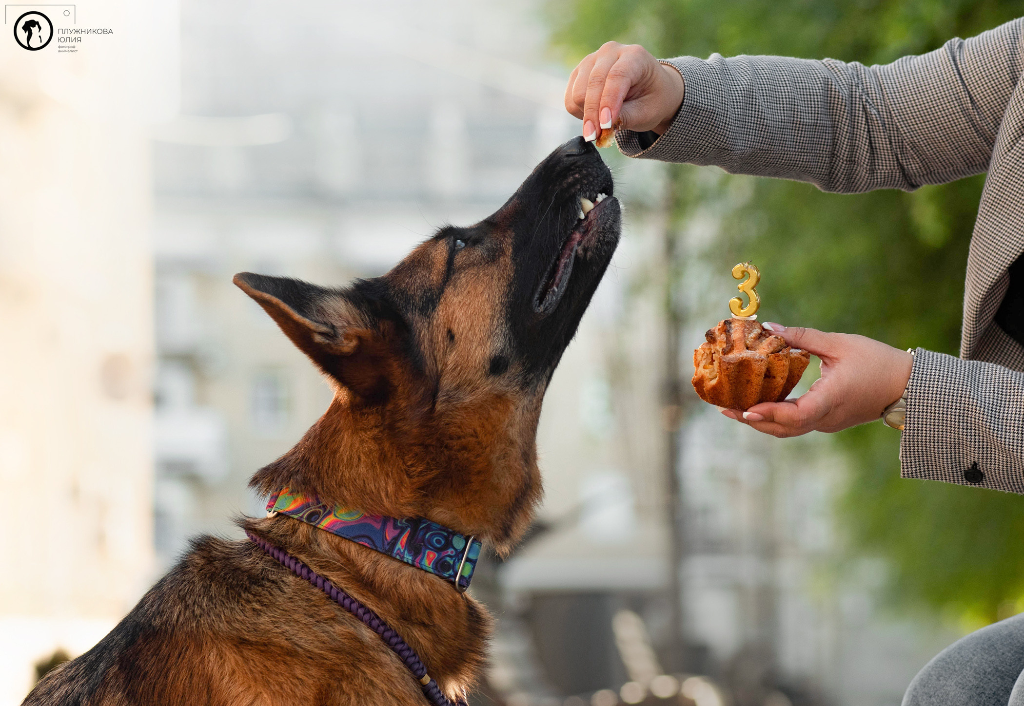 Лена и Ирма. Фотограф — анималист Саратов/Москва|Плужникова Юлия