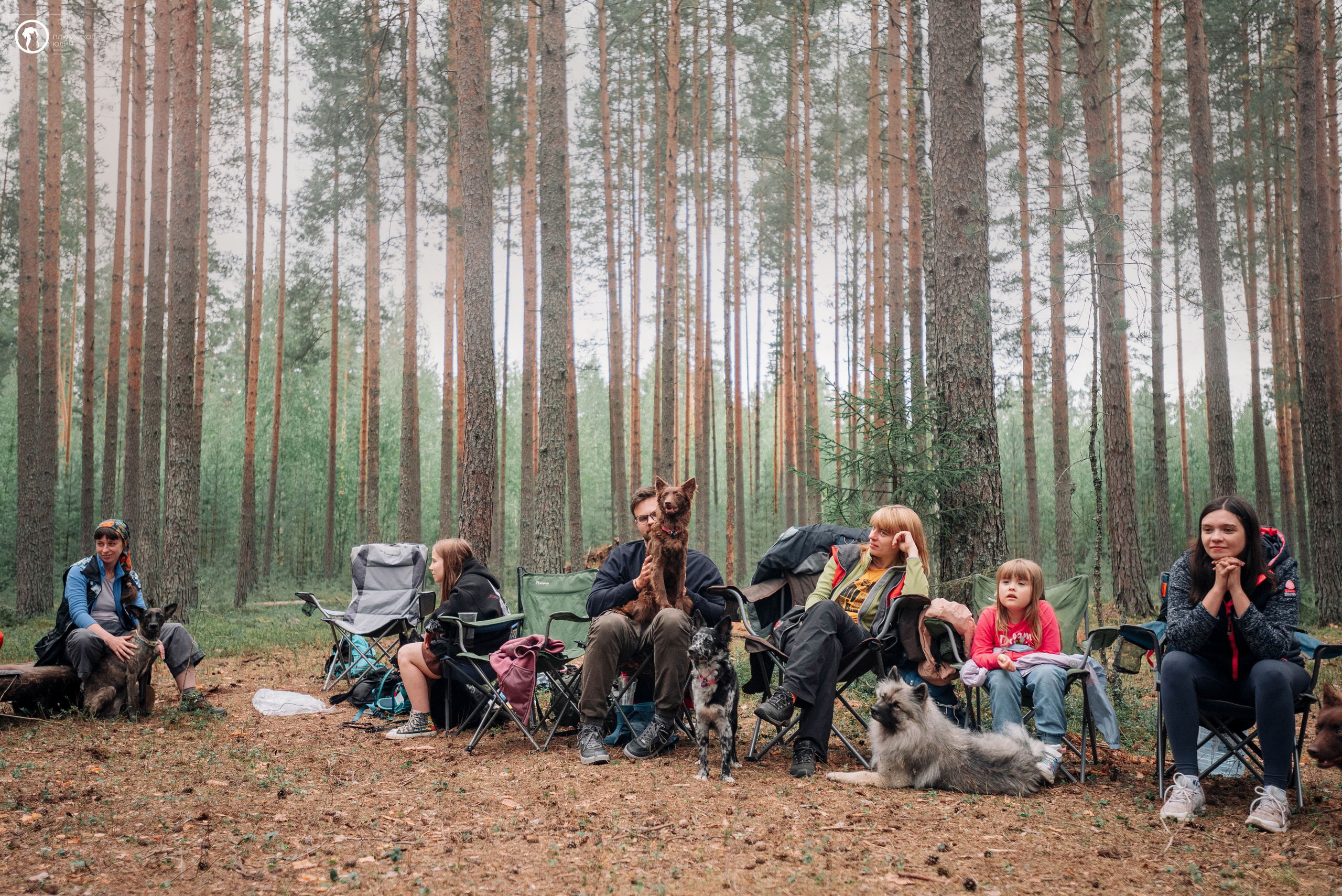 МУДИ — ВСТРЕЧА 2023. Фотограф — анималист Саратов/Москва|Плужникова Юлия