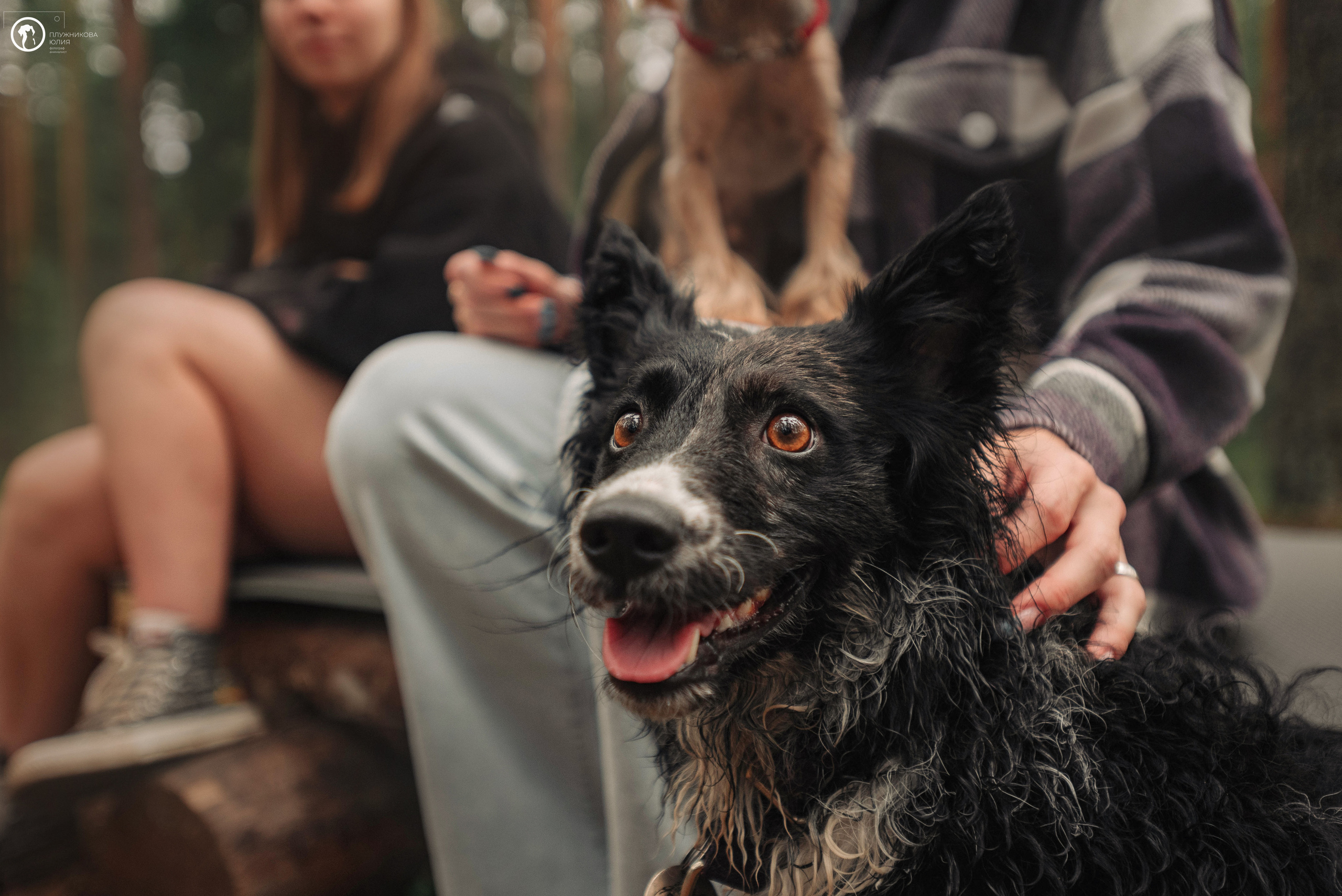 МУДИ — ВСТРЕЧА 2023. Фотограф — анималист Саратов/Москва|Плужникова Юлия