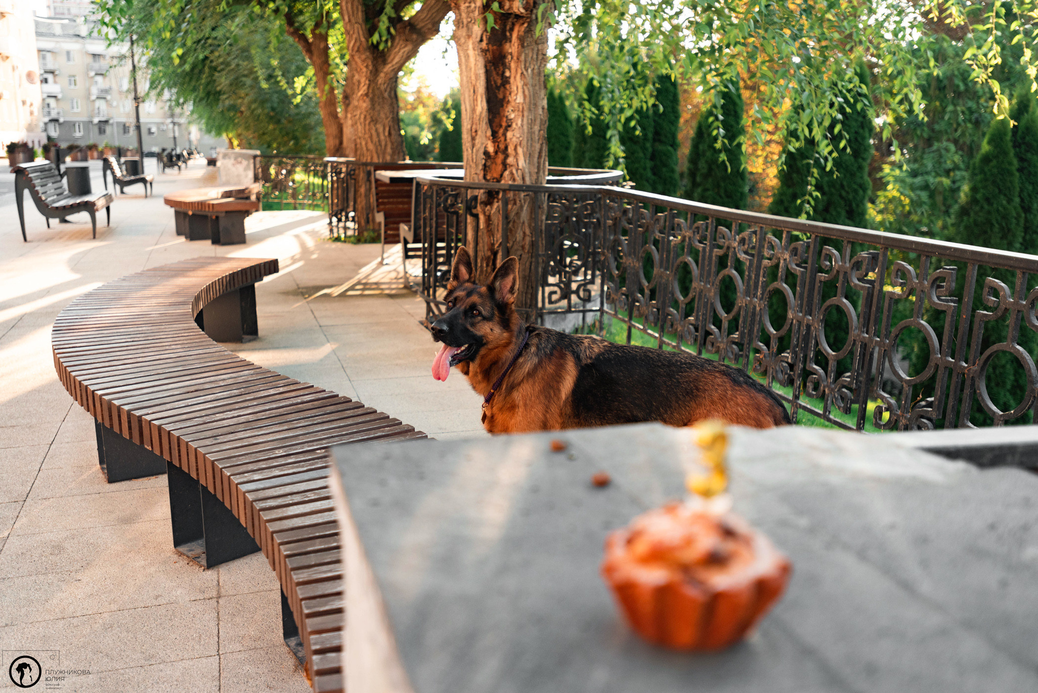 Лена и Ирма. Фотограф — анималист Саратов/Москва|Плужникова Юлия