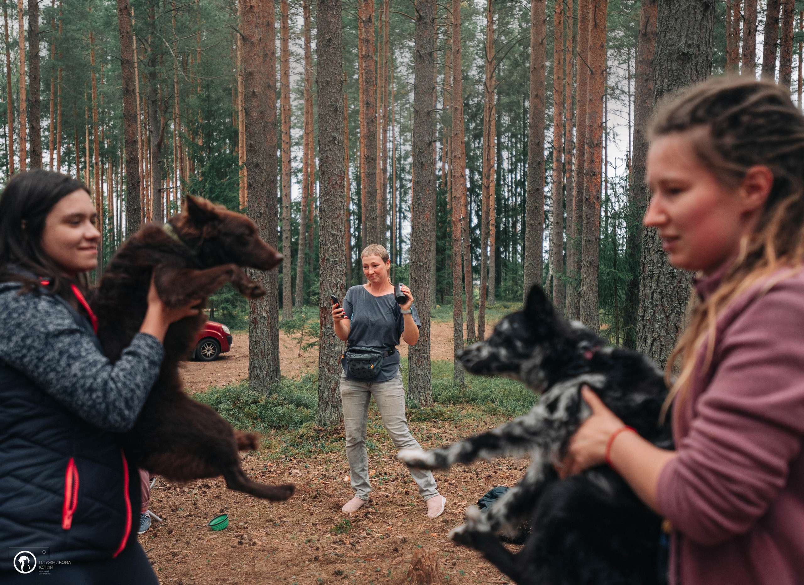 МУДИ — ВСТРЕЧА 2023. Фотограф — анималист Саратов/Москва|Плужникова Юлия