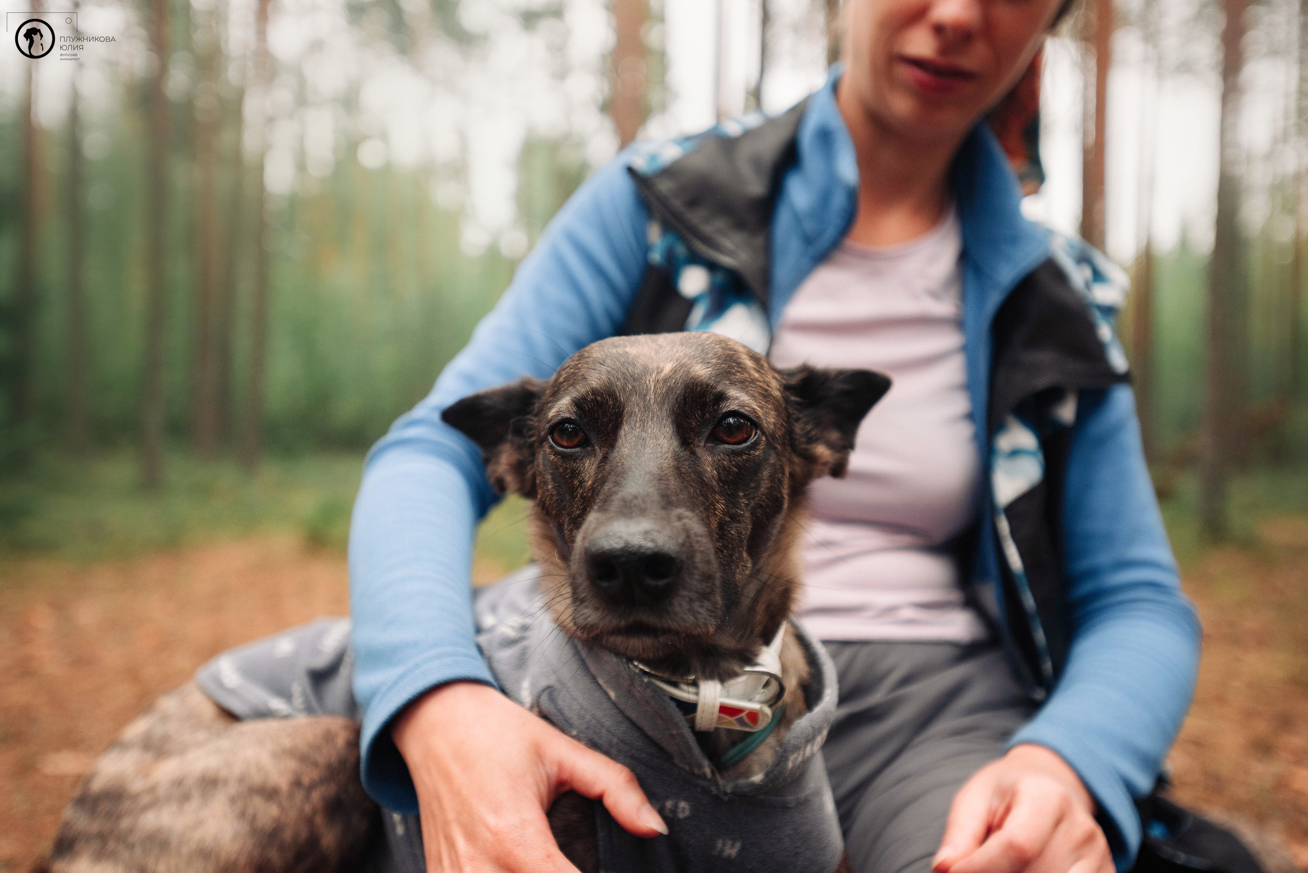 МУДИ — ВСТРЕЧА 2023. Фотограф — анималист Саратов/Москва|Плужникова Юлия