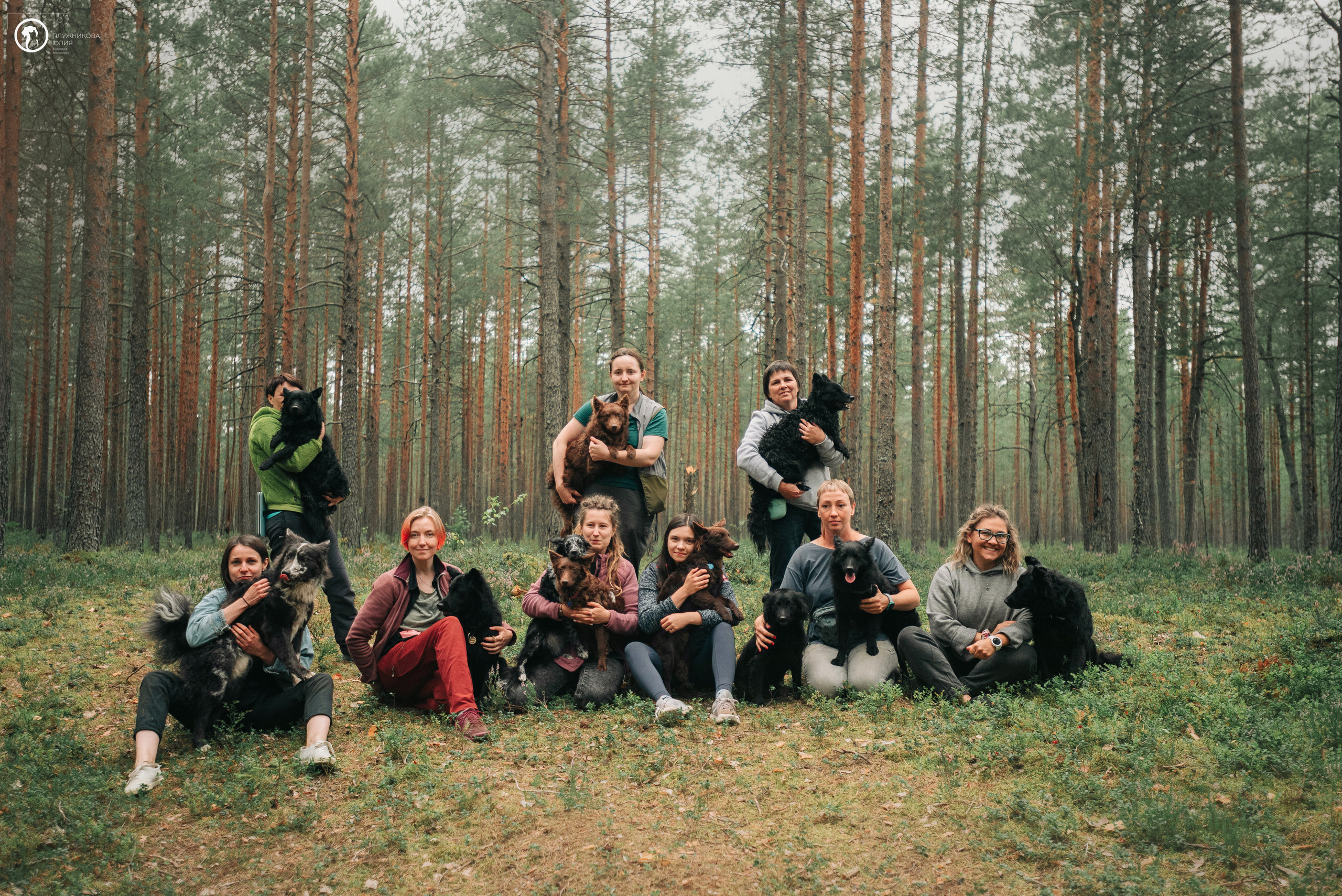 МУДИ — ВСТРЕЧА 2023. Фотограф — анималист Саратов/Москва|Плужникова Юлия