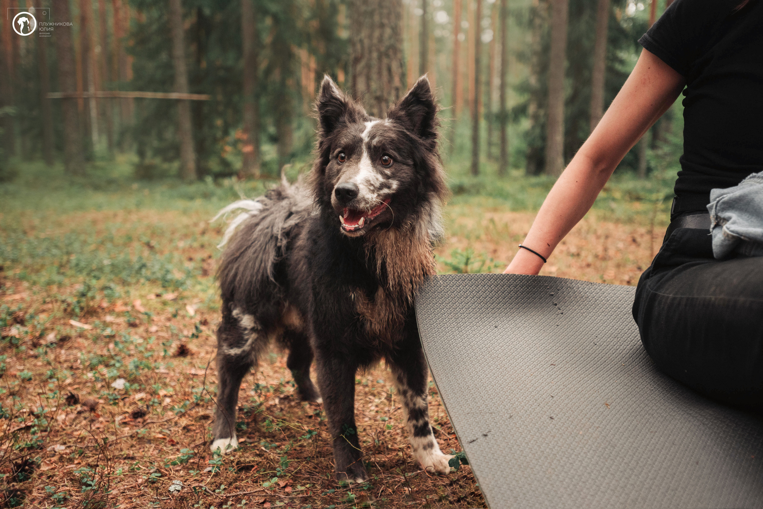 МУДИ — ВСТРЕЧА 2023. Фотограф — анималист Саратов/Москва|Плужникова Юлия