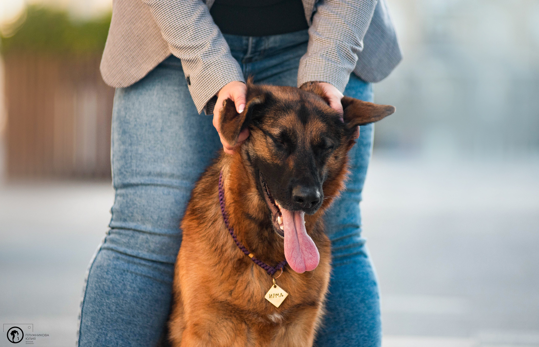 Лена и Ирма. Фотограф — анималист Саратов/Москва|Плужникова Юлия