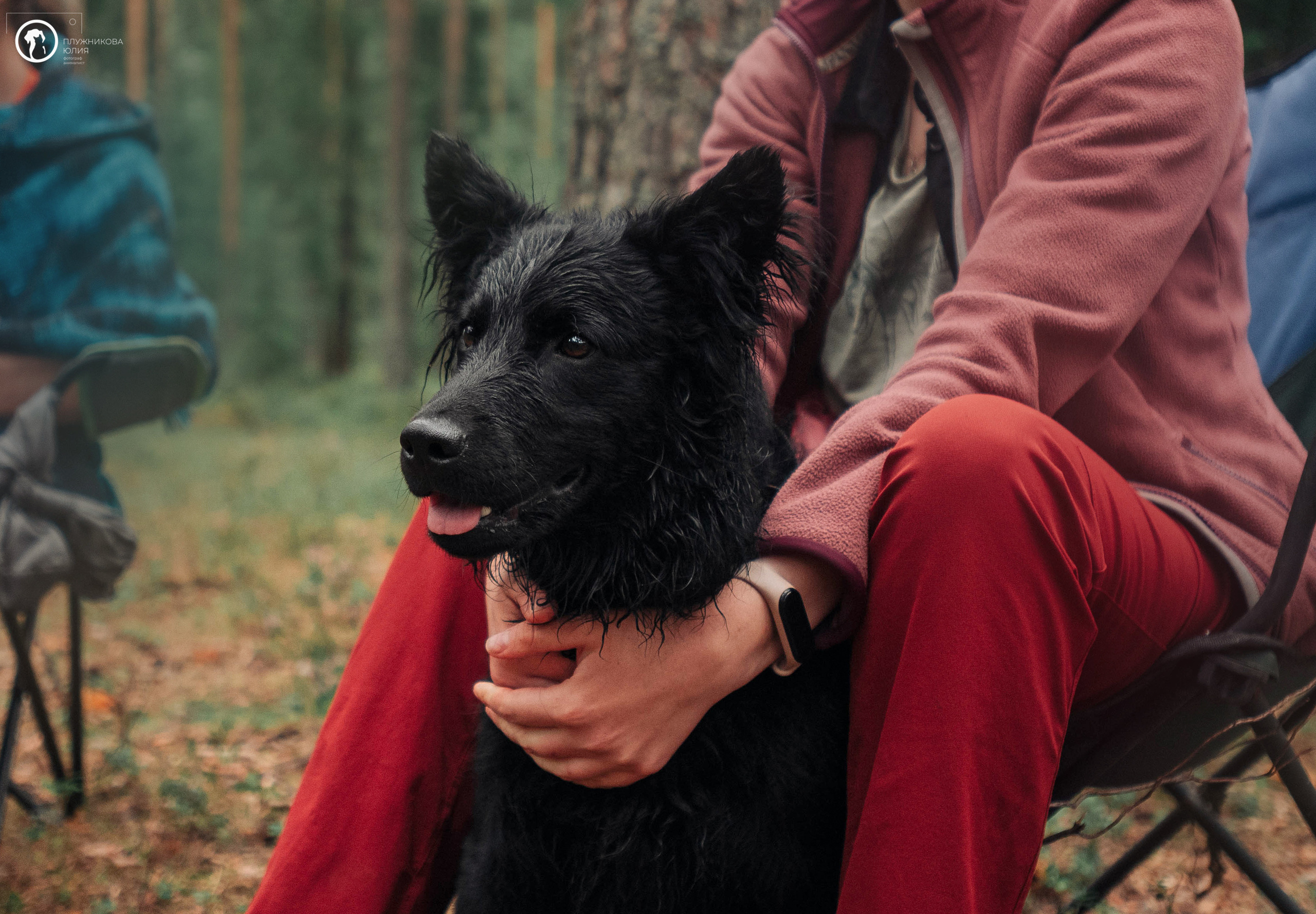 МУДИ — ВСТРЕЧА 2023. Фотограф — анималист Саратов/Москва|Плужникова Юлия