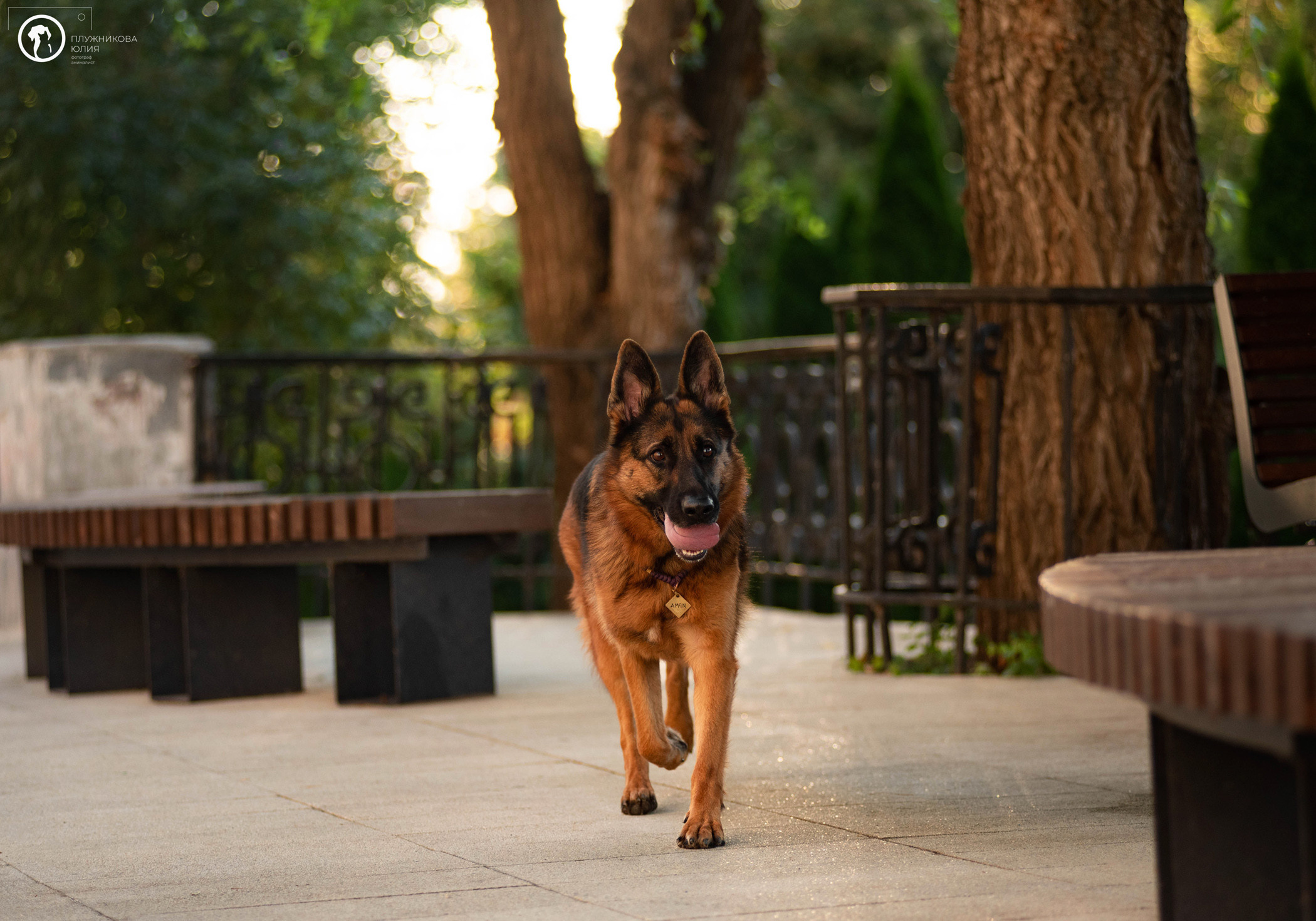 Лена и Ирма. Фотограф — анималист Саратов/Москва|Плужникова Юлия