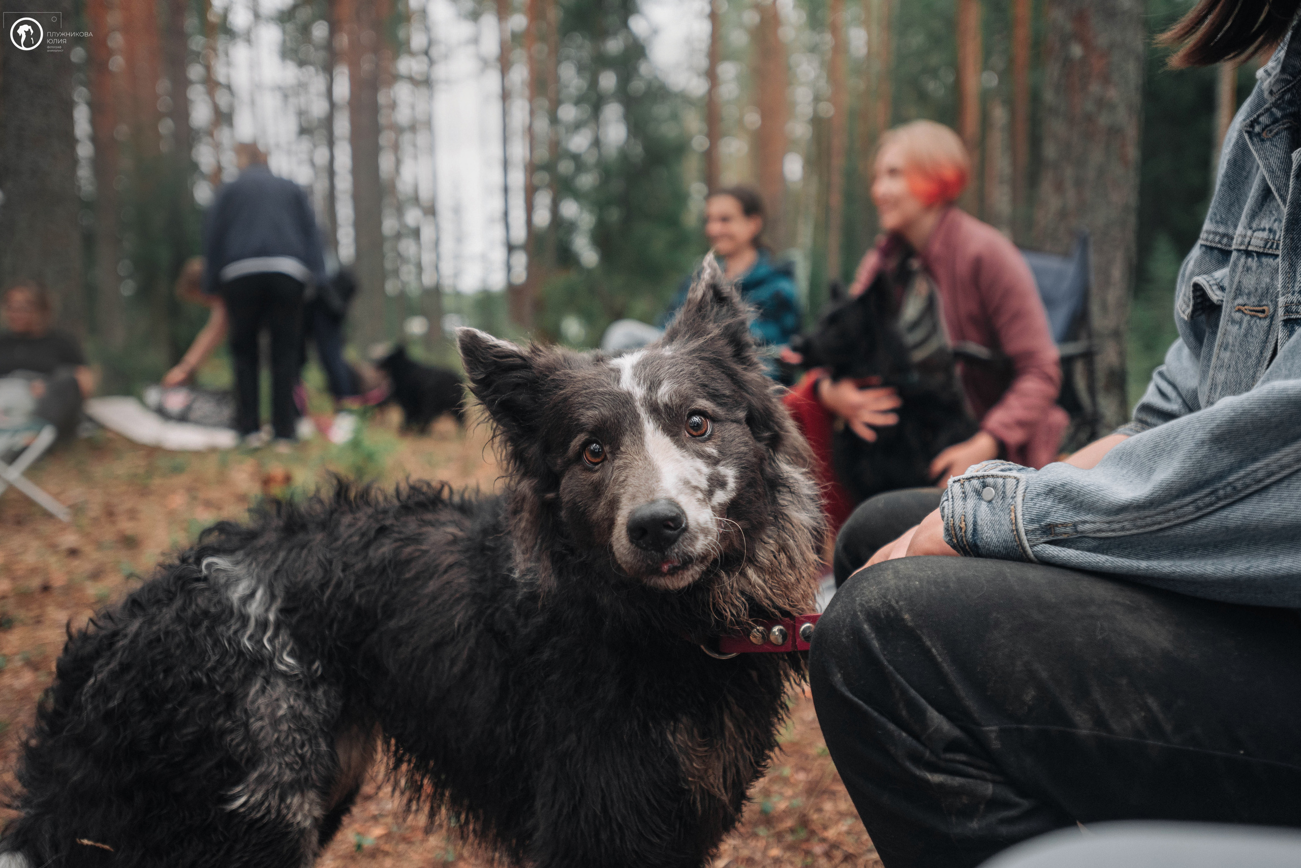 МУДИ — ВСТРЕЧА 2023. Фотограф — анималист Саратов/Москва|Плужникова Юлия